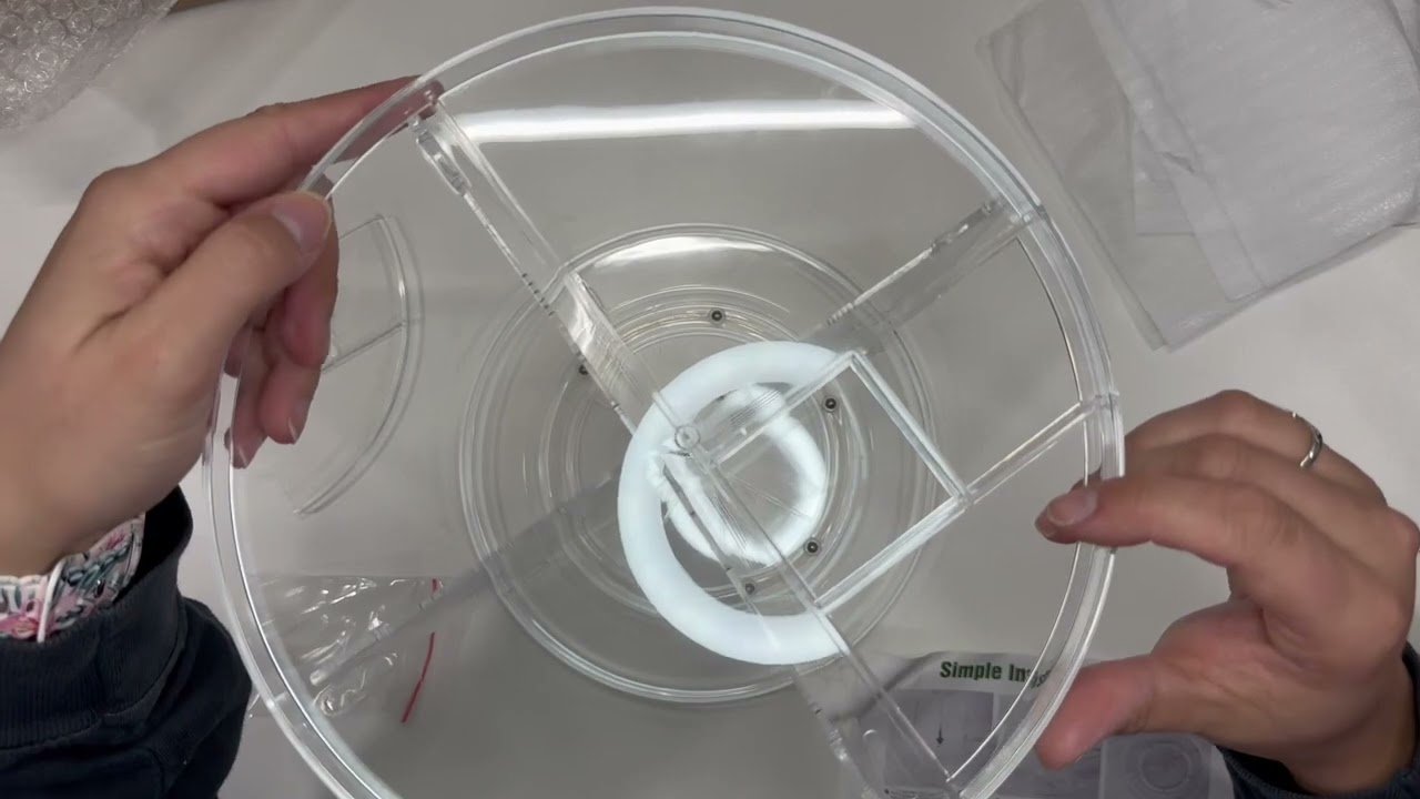 maxresdefault copy 3.jpg