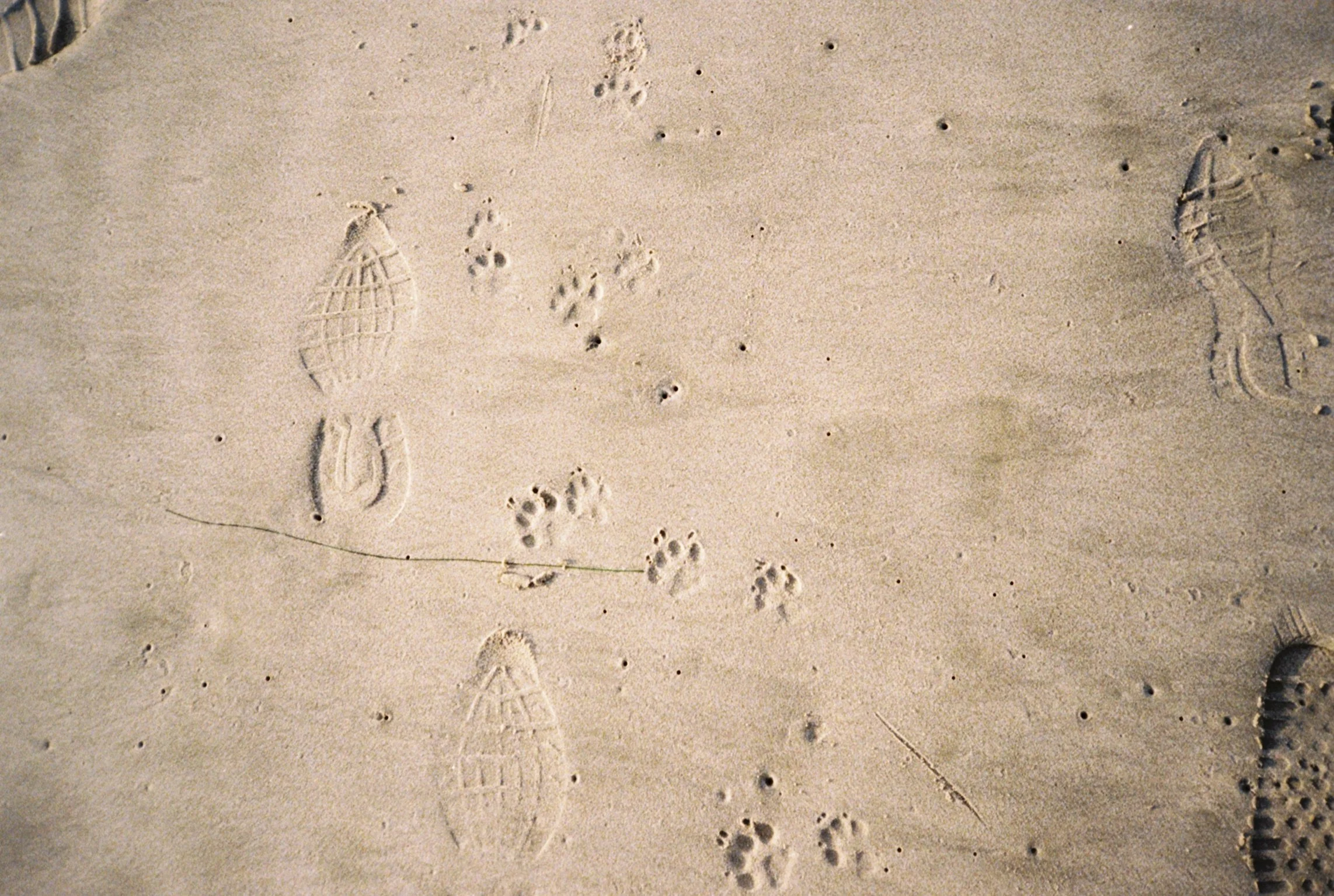 Photographed | Marilyn Cho