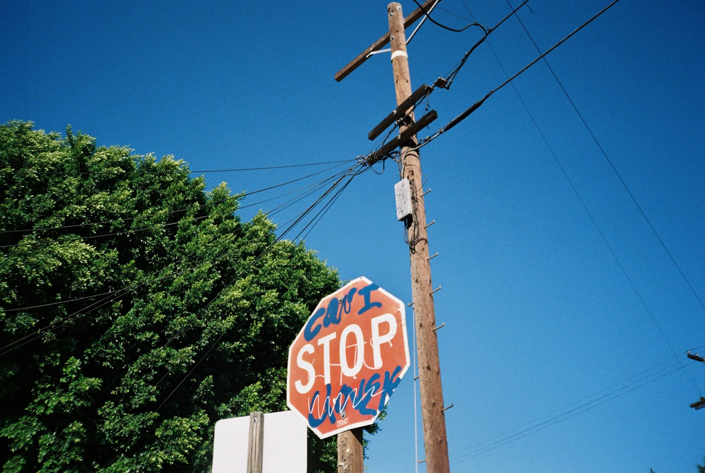 Photographed | Marilyn Cho