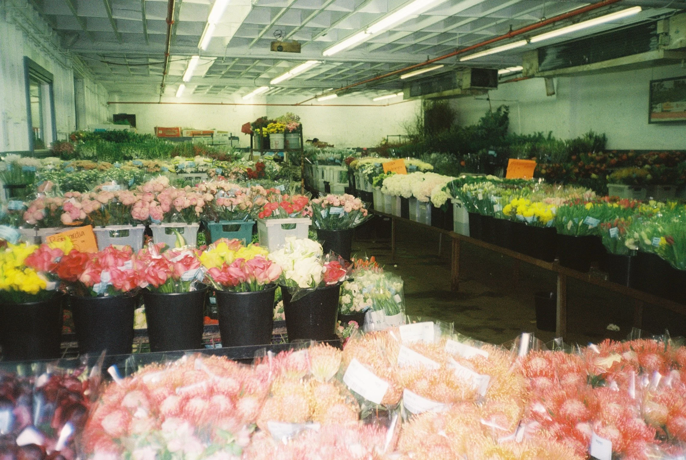 Photographed | Marilyn Cho