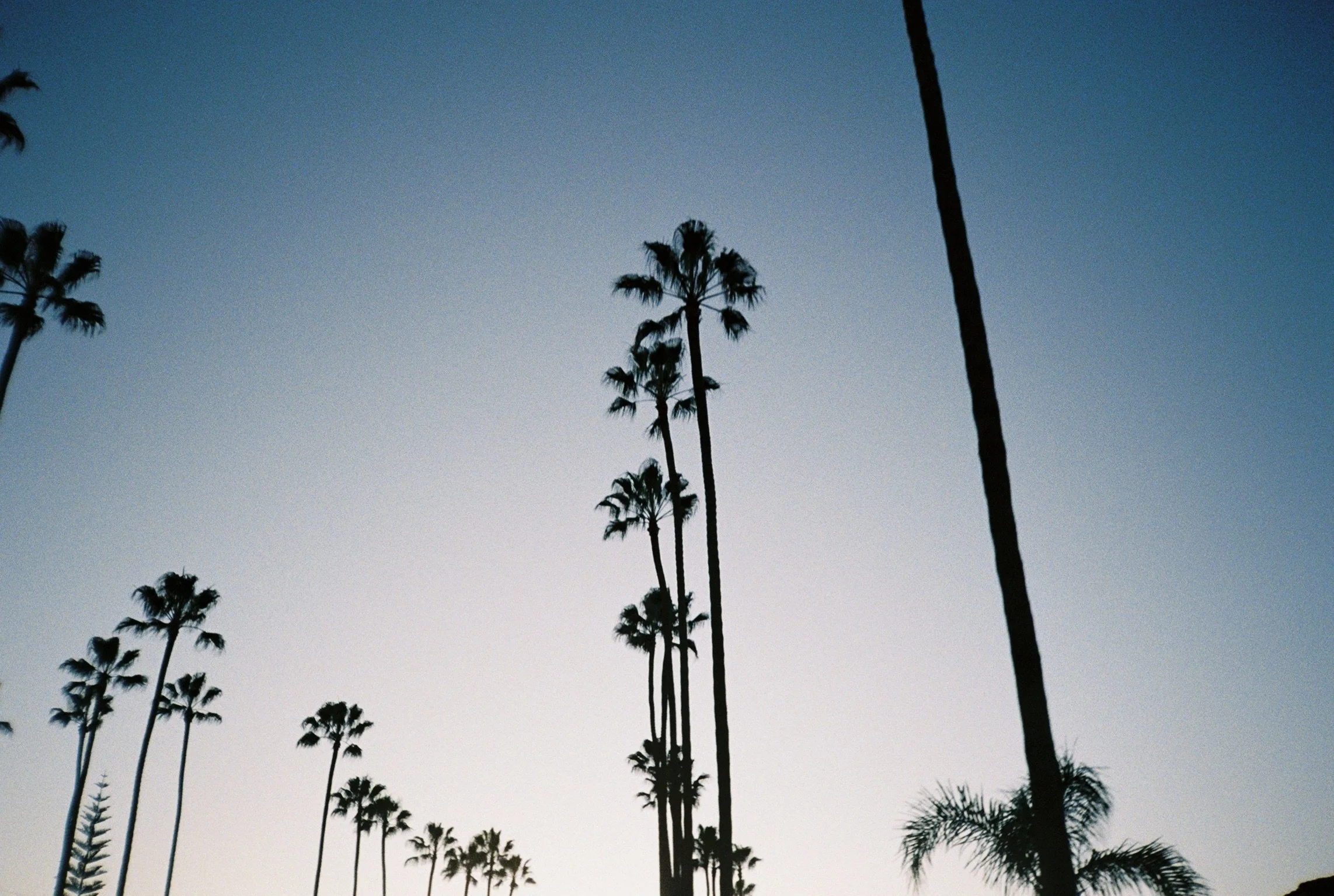 Photographed | Marilyn Cho