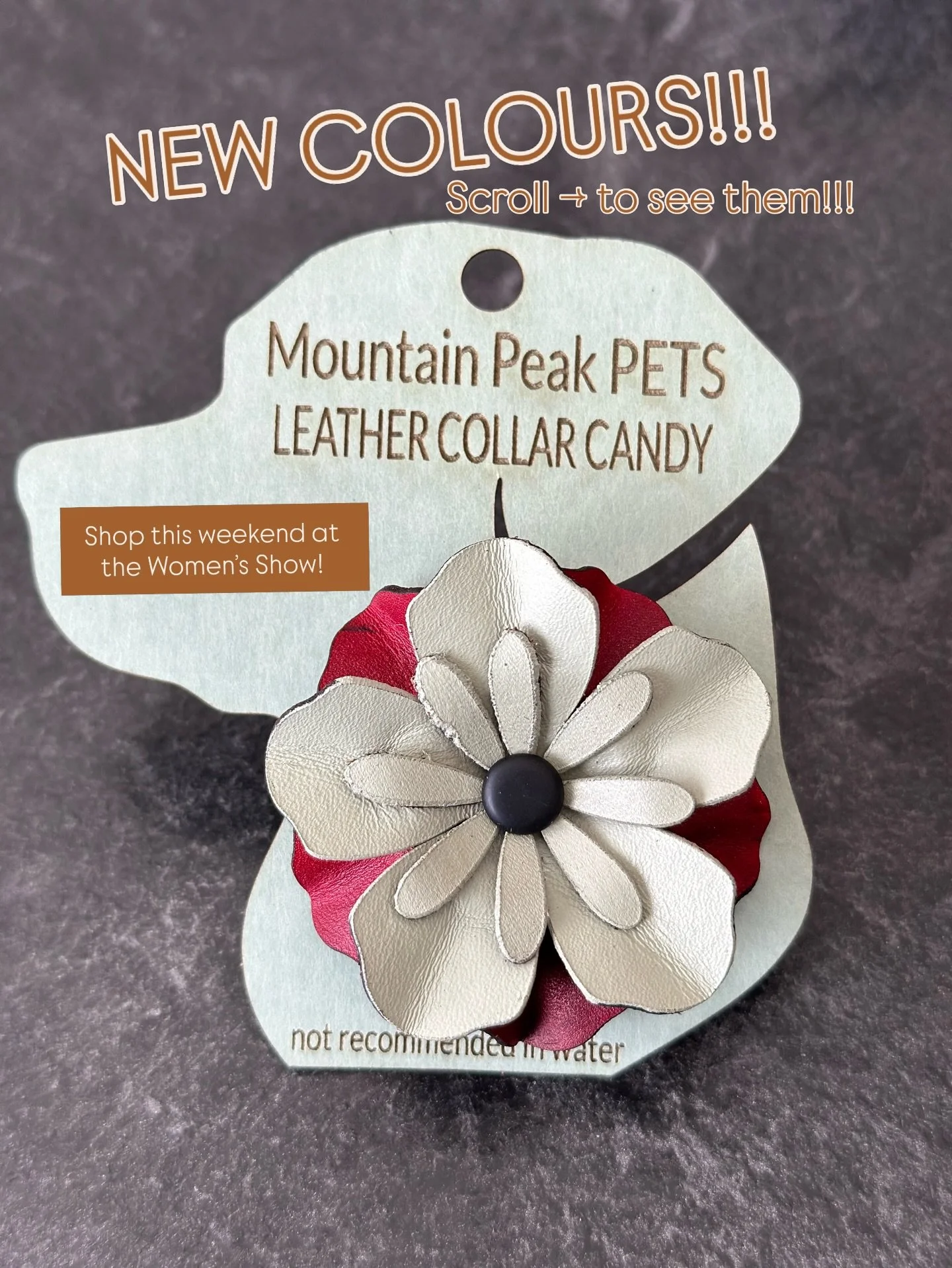 We have NEW COLOURS available!! 

Come check out our Collar Candy Collection this weekend at the Women&rsquo;s Show at the BMO Centre! 
If you can&rsquo;t make it this weekend, we will be at Spruce Meadows PETFEST in 3 weekends! 

@womenshow @_artisa