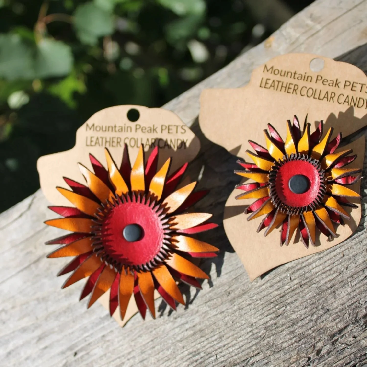 sunflower-05.jpg
