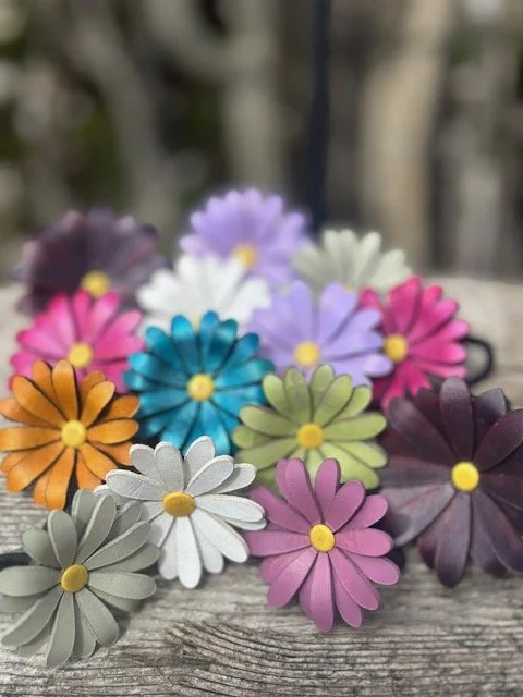 daisys.jpg