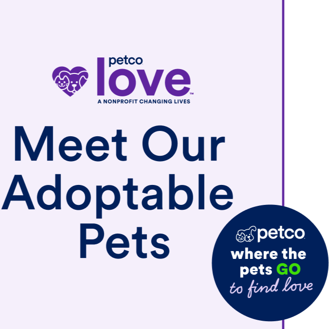 Petco Adoption 