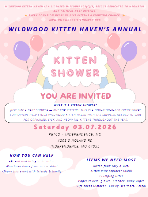 Annual Kitten Shower