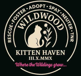 Kitten Adoption Fee
