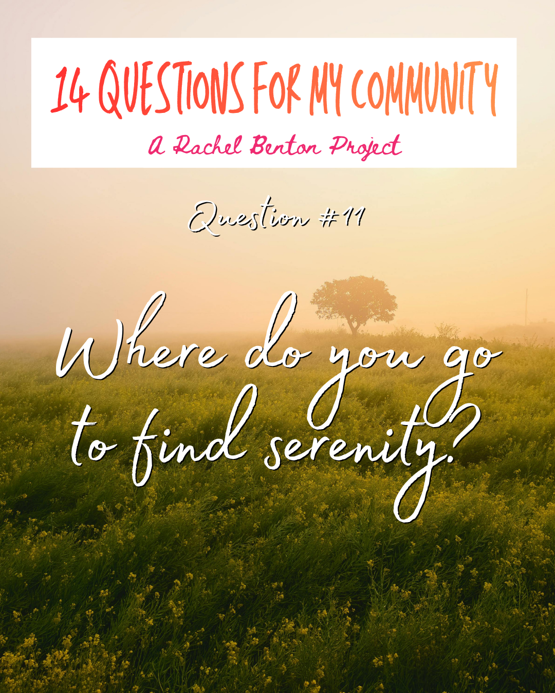 Question 11: Finding Serenity