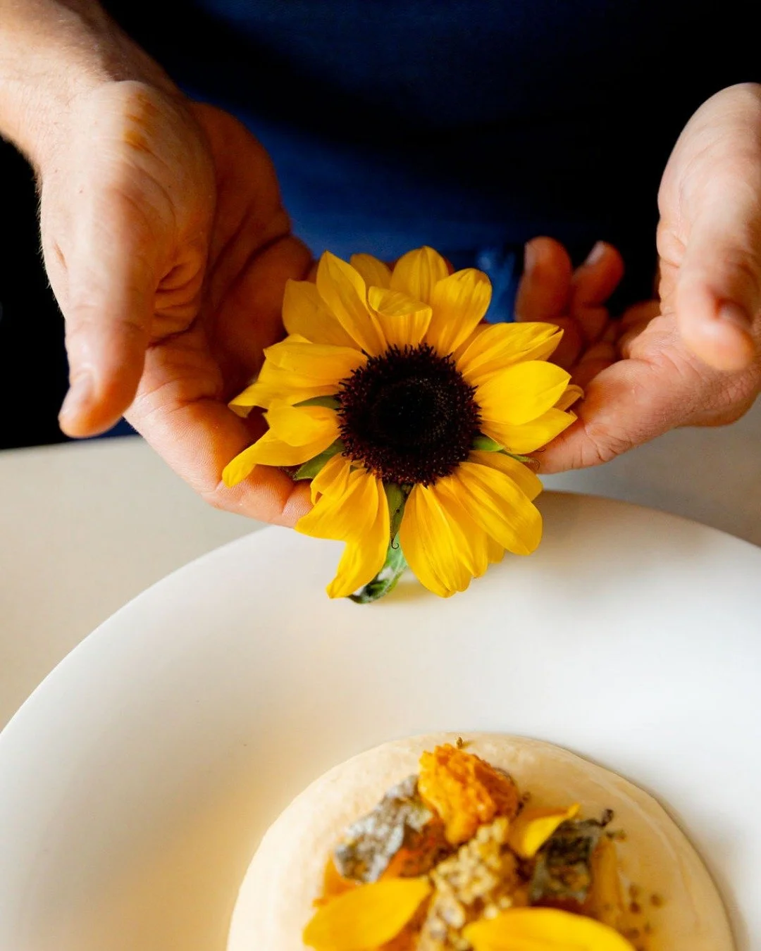 Kensington Pride mango with lemon chiboust, macadamia, native myrtle and smoked honeycomb.
A bright summer dessert that balances freshness and texture, perfect to finish a meal by the sea.