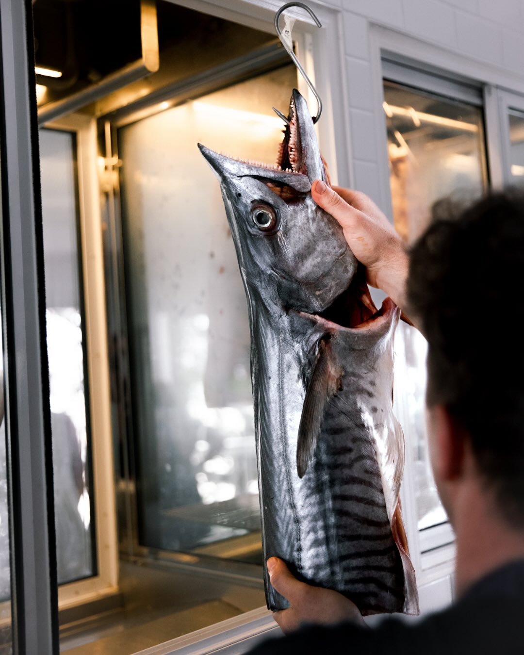 Fresh catch from local waters and produce from nearby growers, all arriving daily at our kitchen.

A menu shaped by what&rsquo;s in season and sourced close to home.