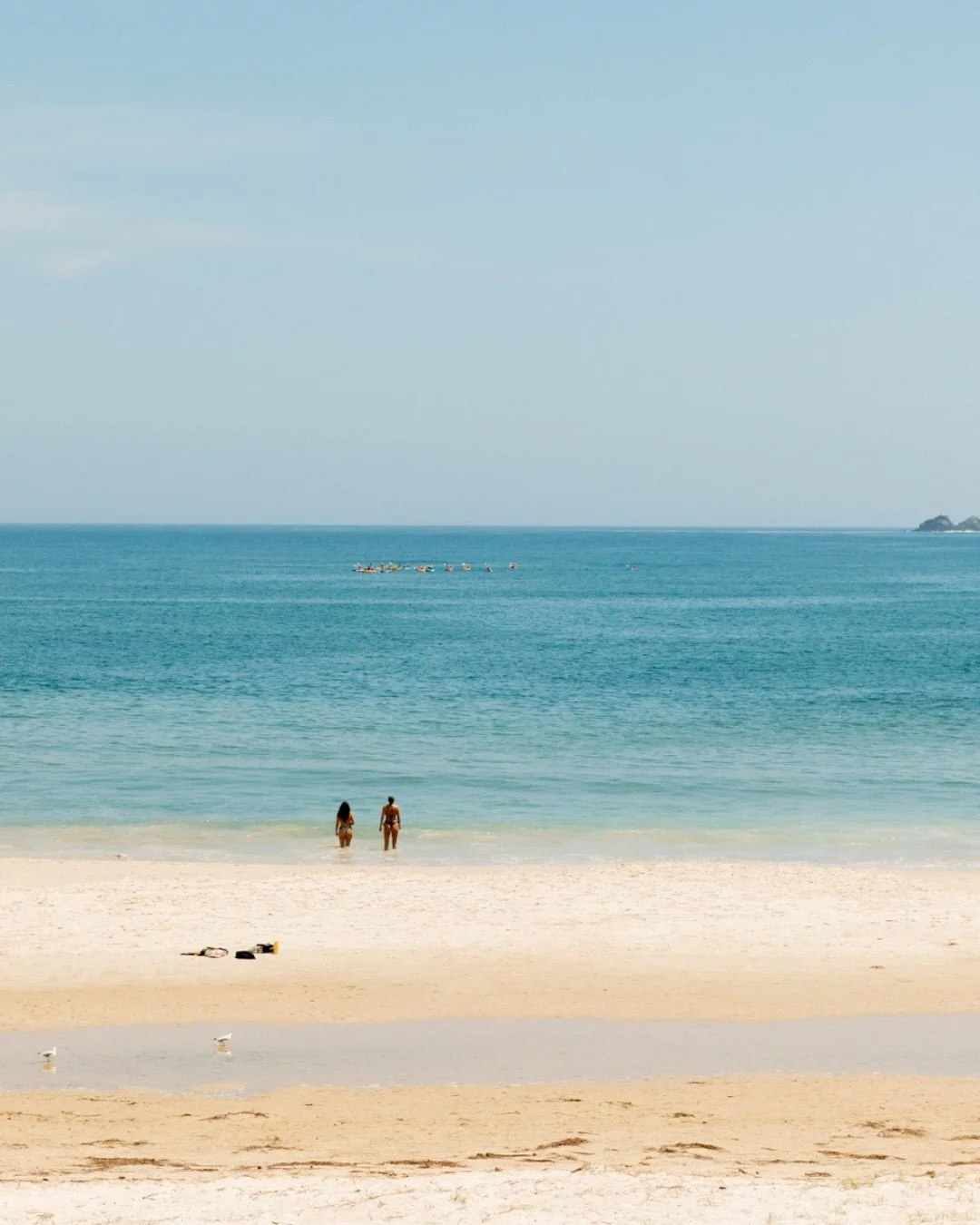 Tables overlooking Clarkes Beach, the bay stretching out before you.
All the flavours of the menu, framed by water and open sky.