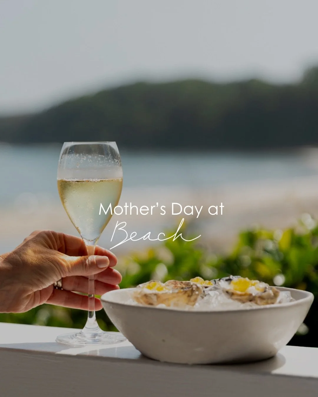 Mother&rsquo;s Day by the sea. 

Enjoy our full &agrave; la carte menu alongside a signature Limoncello Spritz ($24), featuring local Byroncello and sparkling wine.

Make the day truly memorable with a bespoke bouquet by The French Petal ($72), waiti