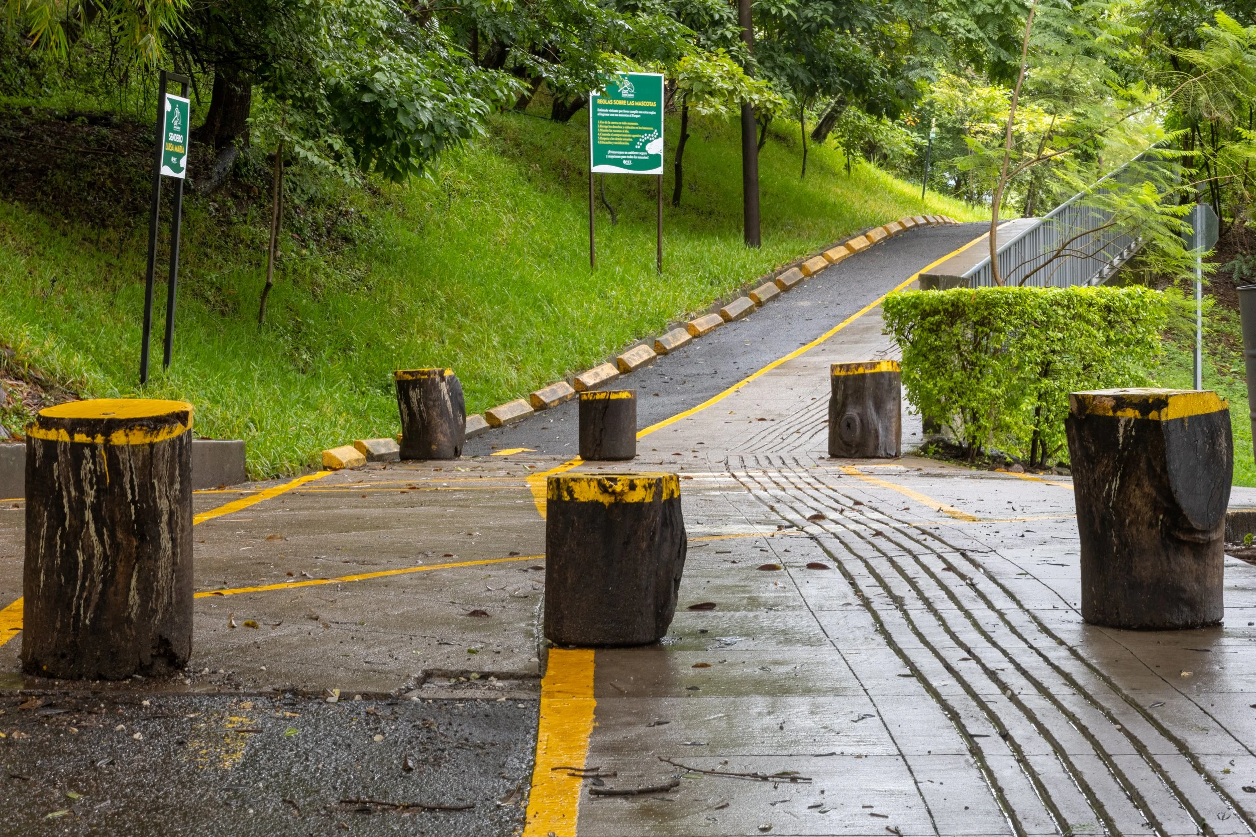 HDR + Hiperfocal (3).jpg