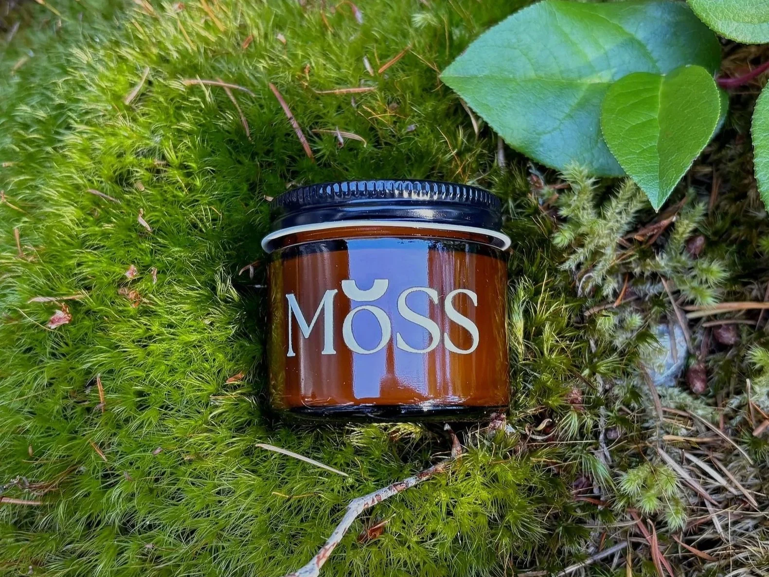 A small brown skincare jar with a black lid labeled 'MÖSS' resting on green moss surrounded by some green leaves.