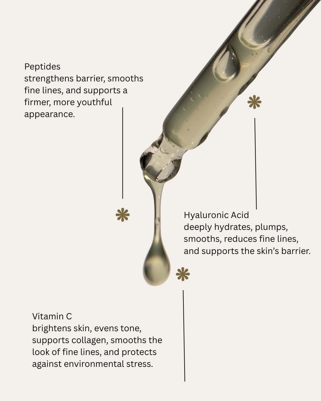 Why Not Both (1).png