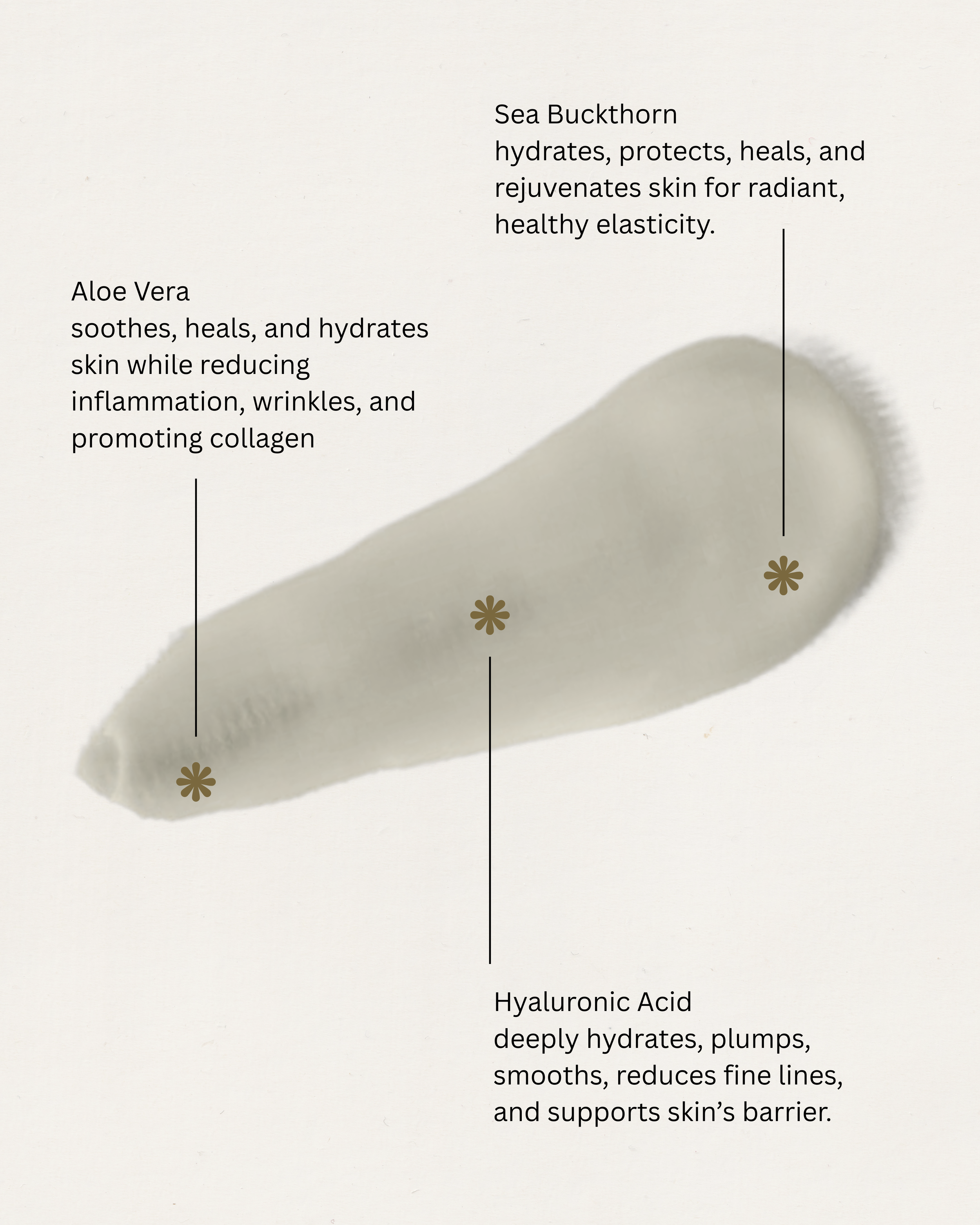 Your paragraph text (9).png