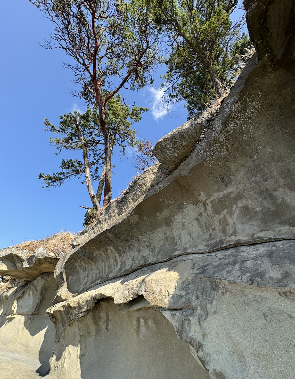 Photo of a large rock formation with trees growing on top, blue sky, and clouds in the background.
