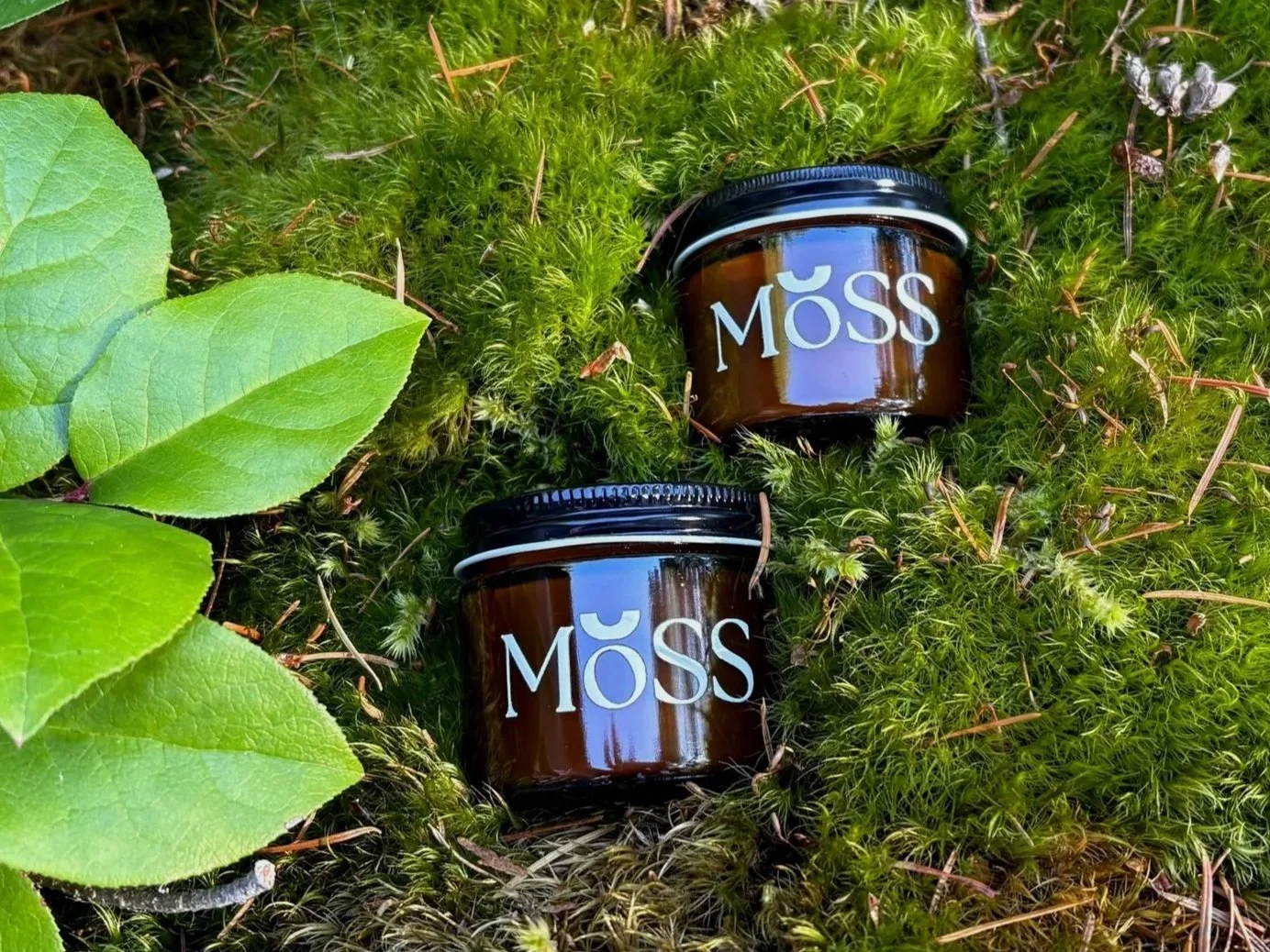 Two amber glass skincare jars filled with Canadian natural skincare laying on Canadian moss. Learn more about small batch skincare