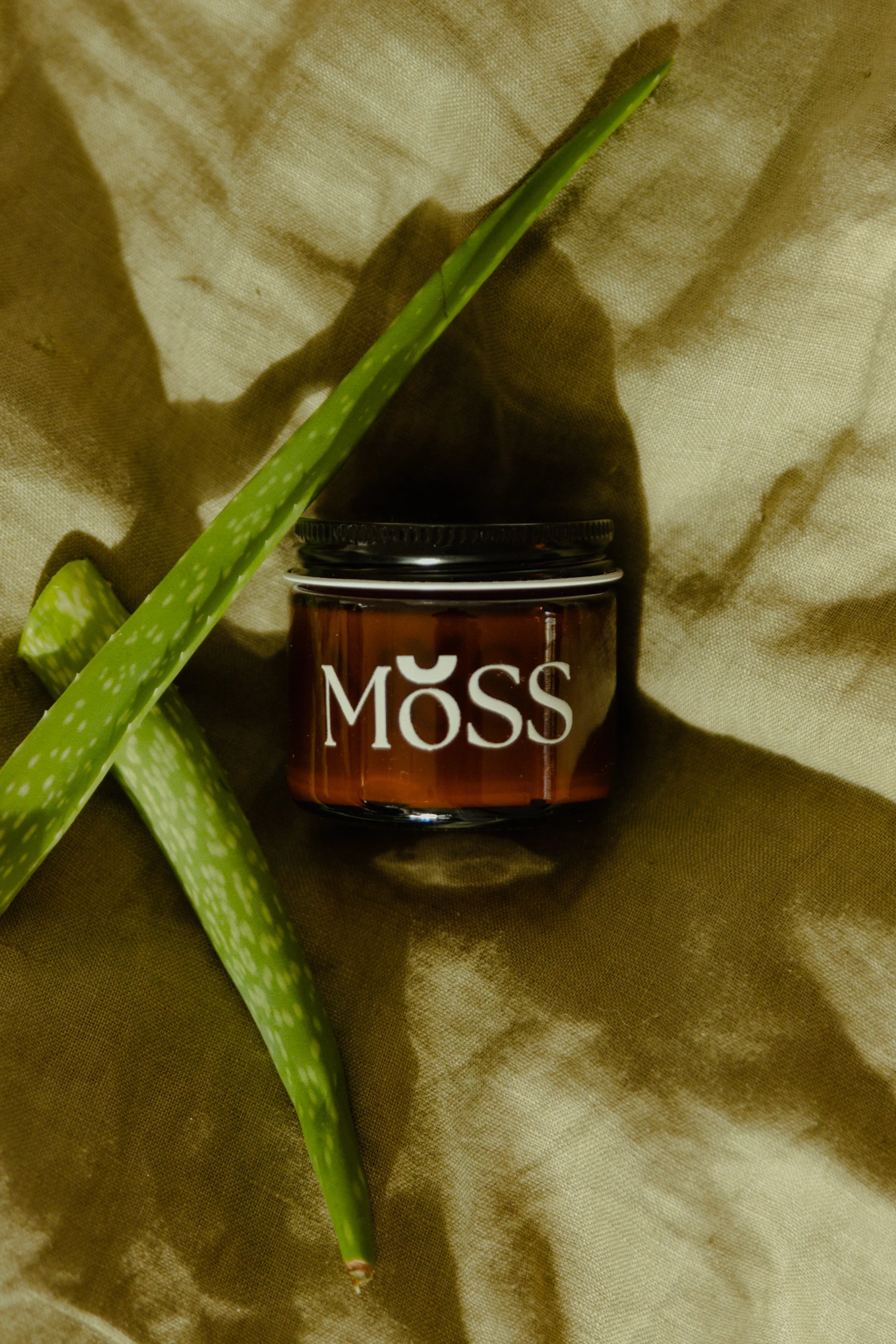 Moss Gabriola skincare jar with aloe vera