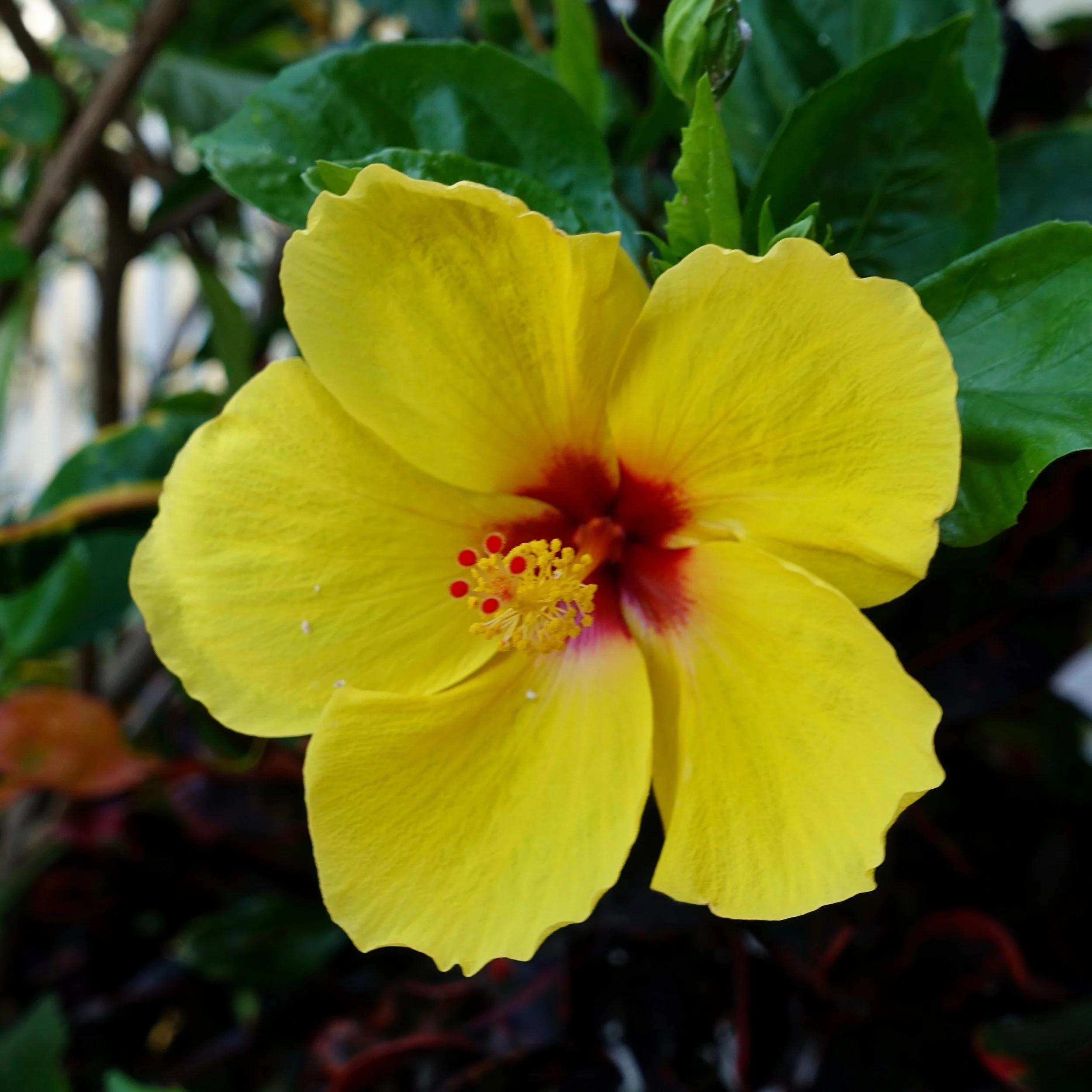 DSC08140.jpg