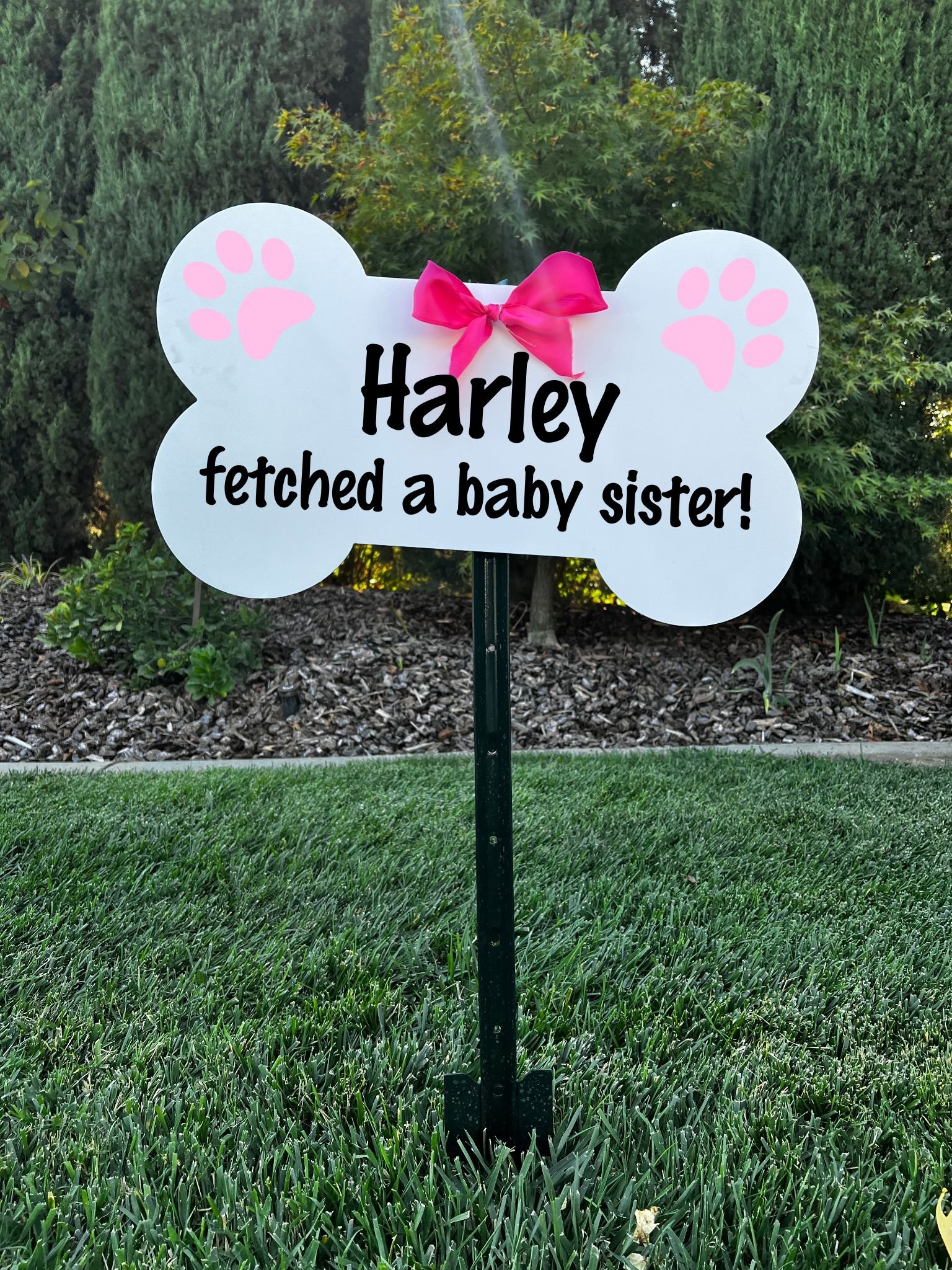 Decorative sign in the shape of a dog's paw with pink paw prints and a pink bow, reading "Harley fetched a baby sister!" in black text, placed outdoors on a grassy lawn with trees and bushes in the background.