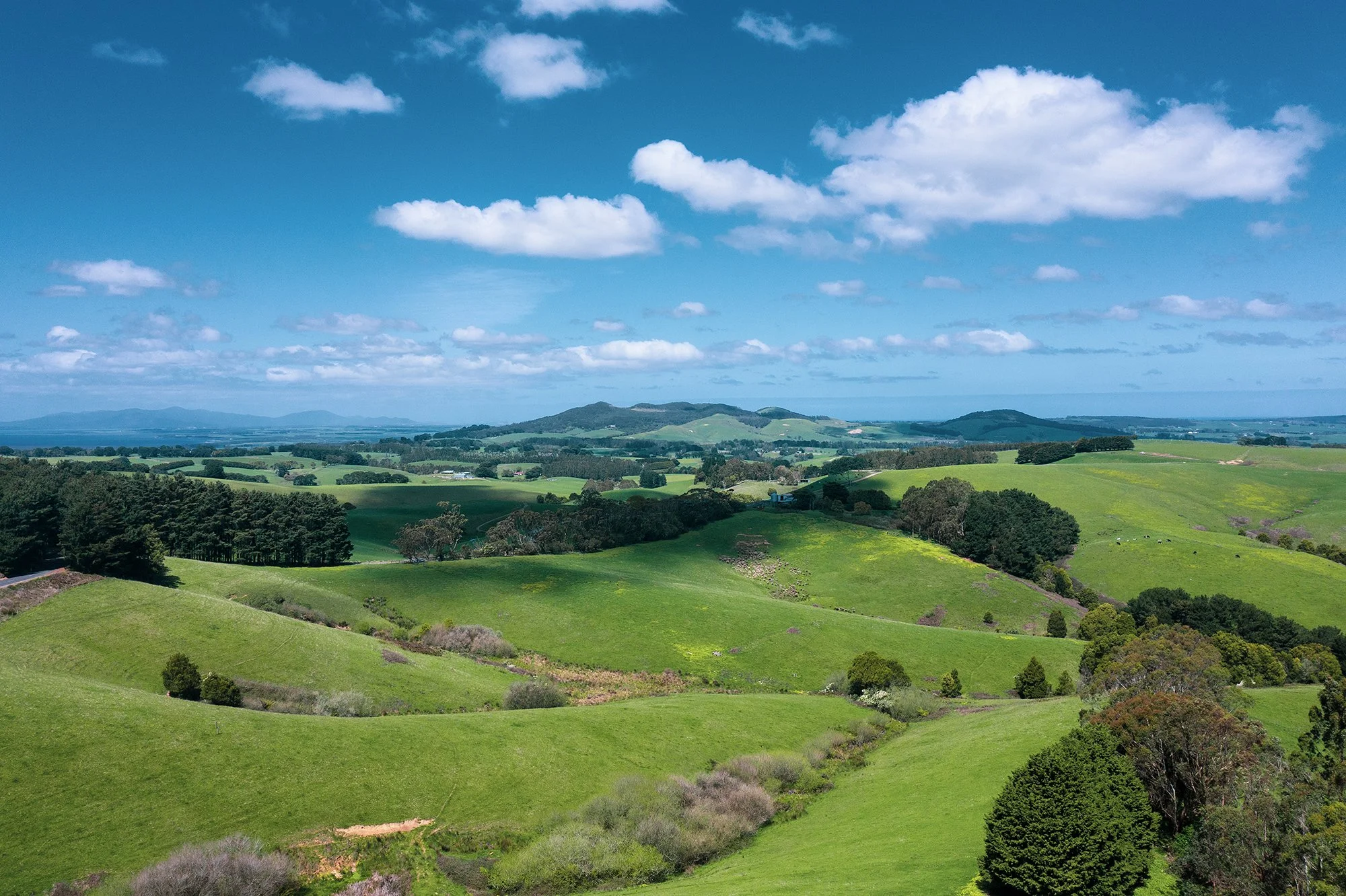 DJI-Promview3_0494 copylr.jpg