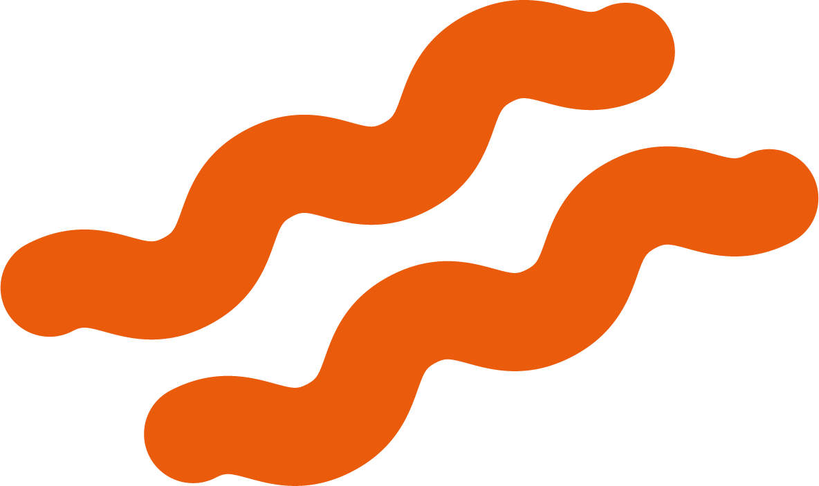 Two orange, twisted, wiggly shapes.