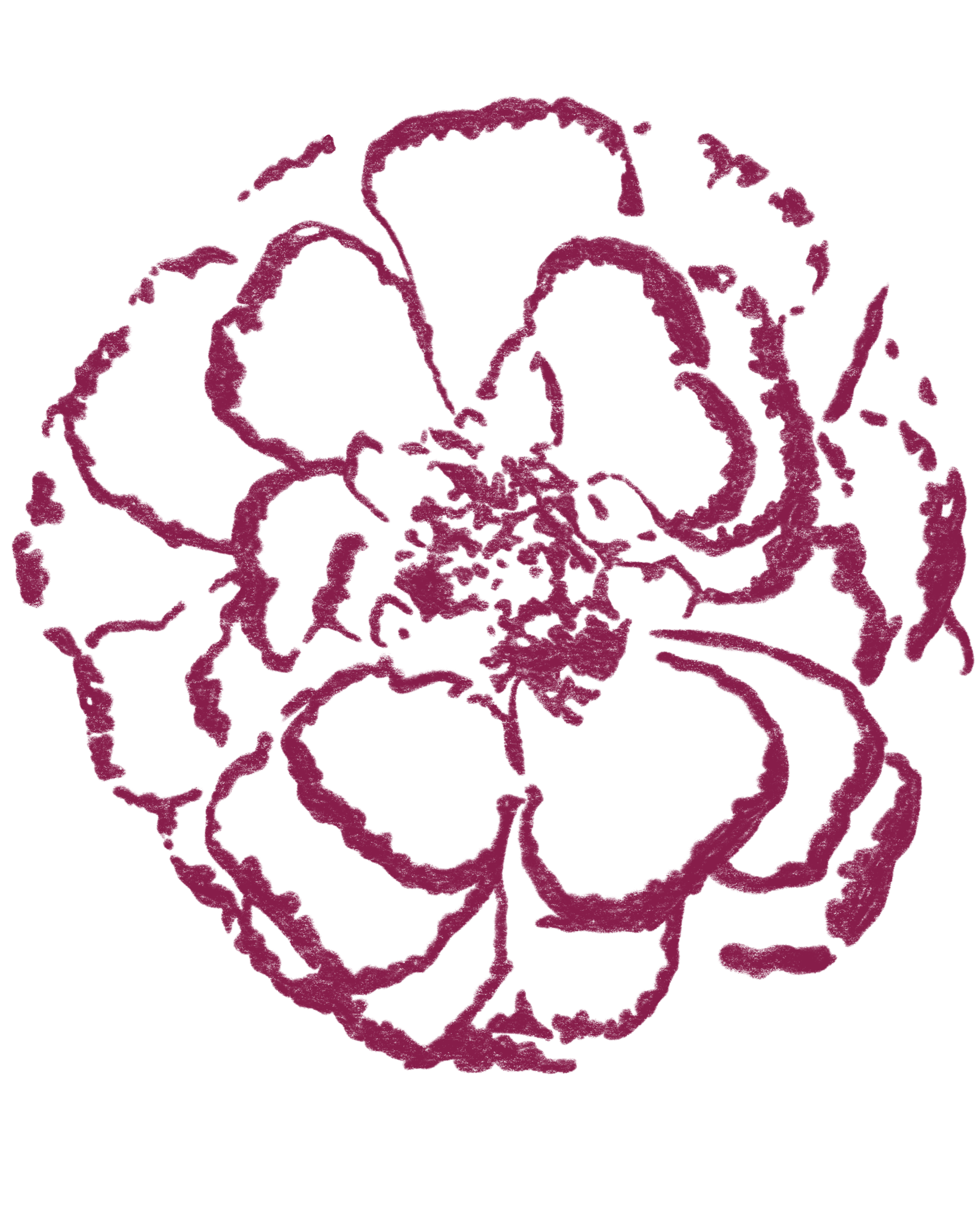 Outline of a flower with overlapping petals in purple on a black background.