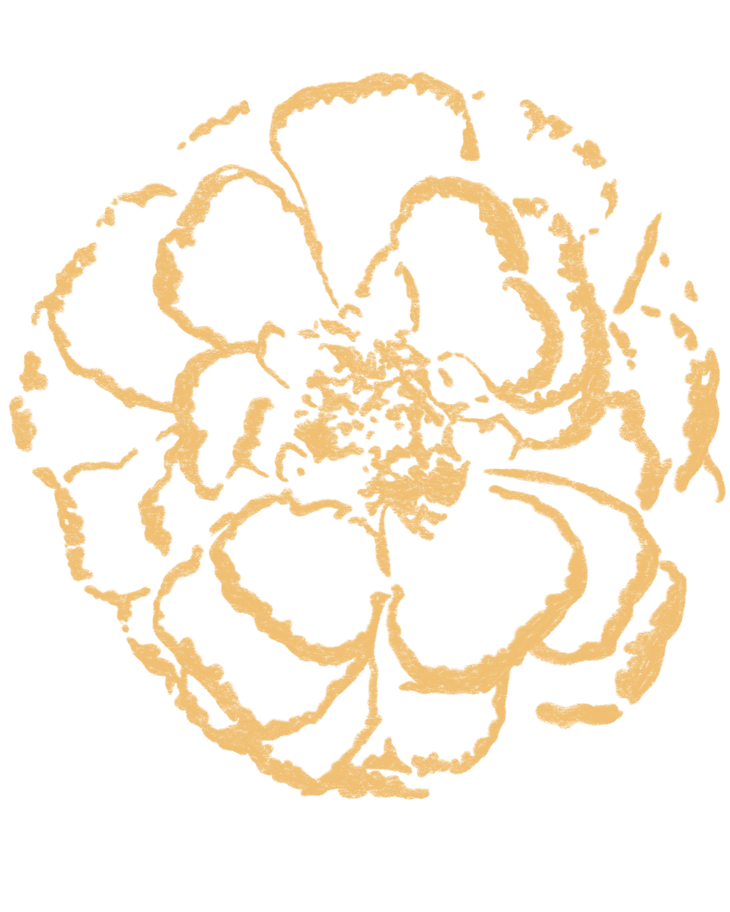 Gold-colored outline of a rose on a black background.