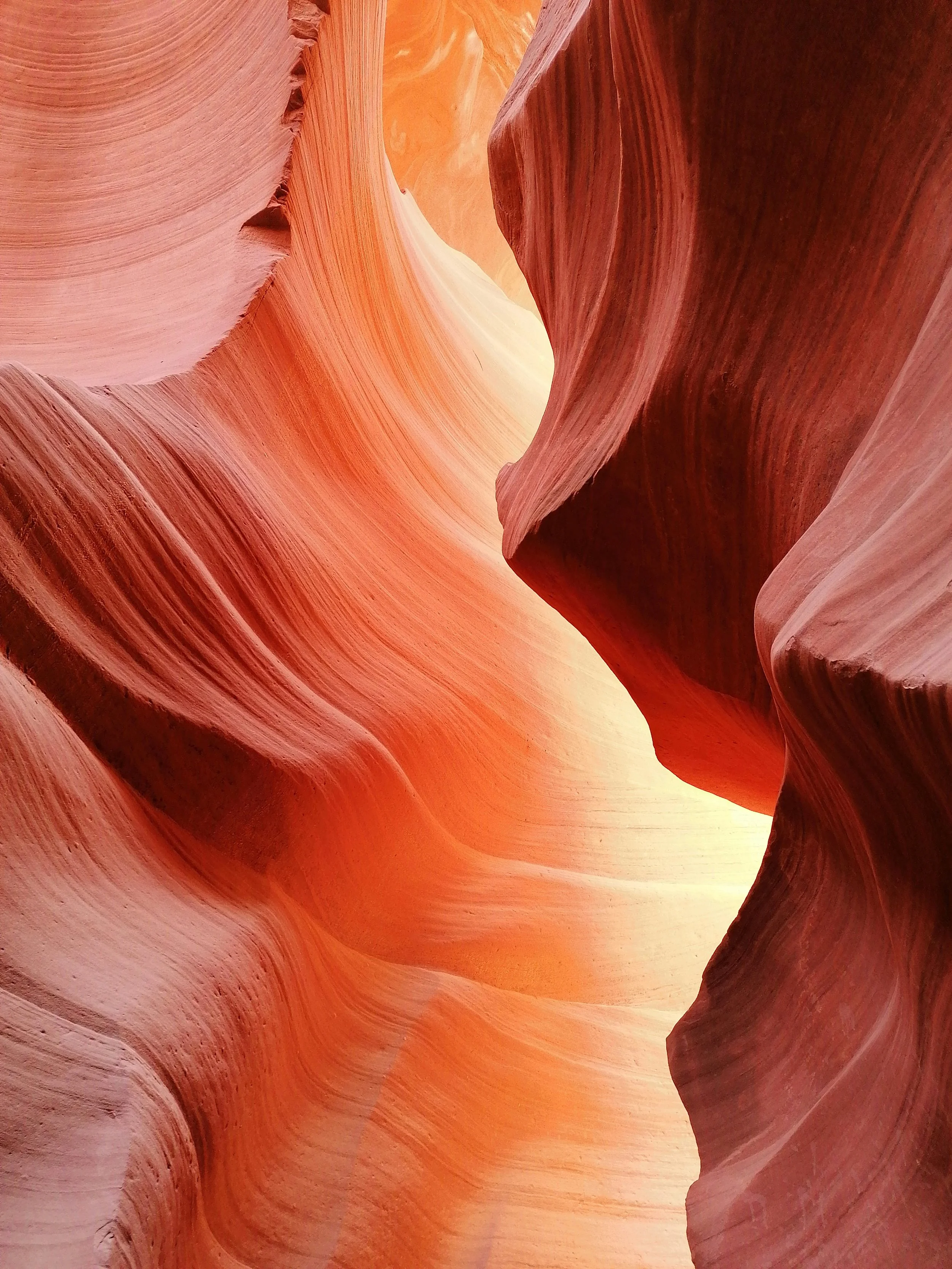 Narrow canyon with smooth, layered sandstone walls in shades of red, orange, and pink.