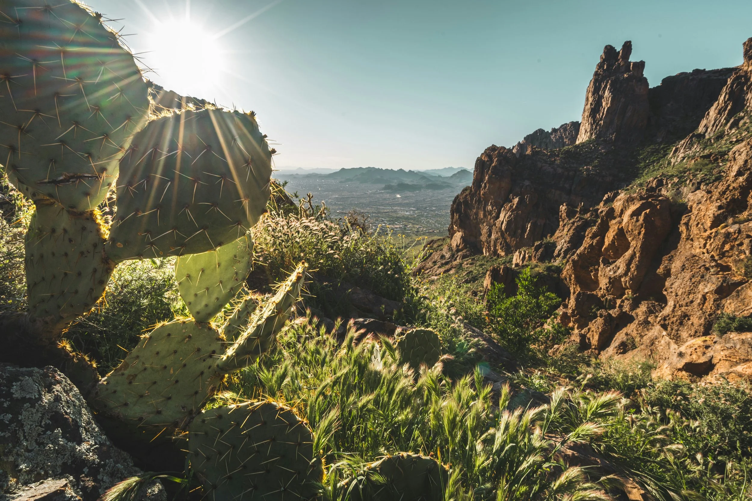 Desert landscape in the early morning with cacti, rocky mountains, and distant hills under a bright sun.