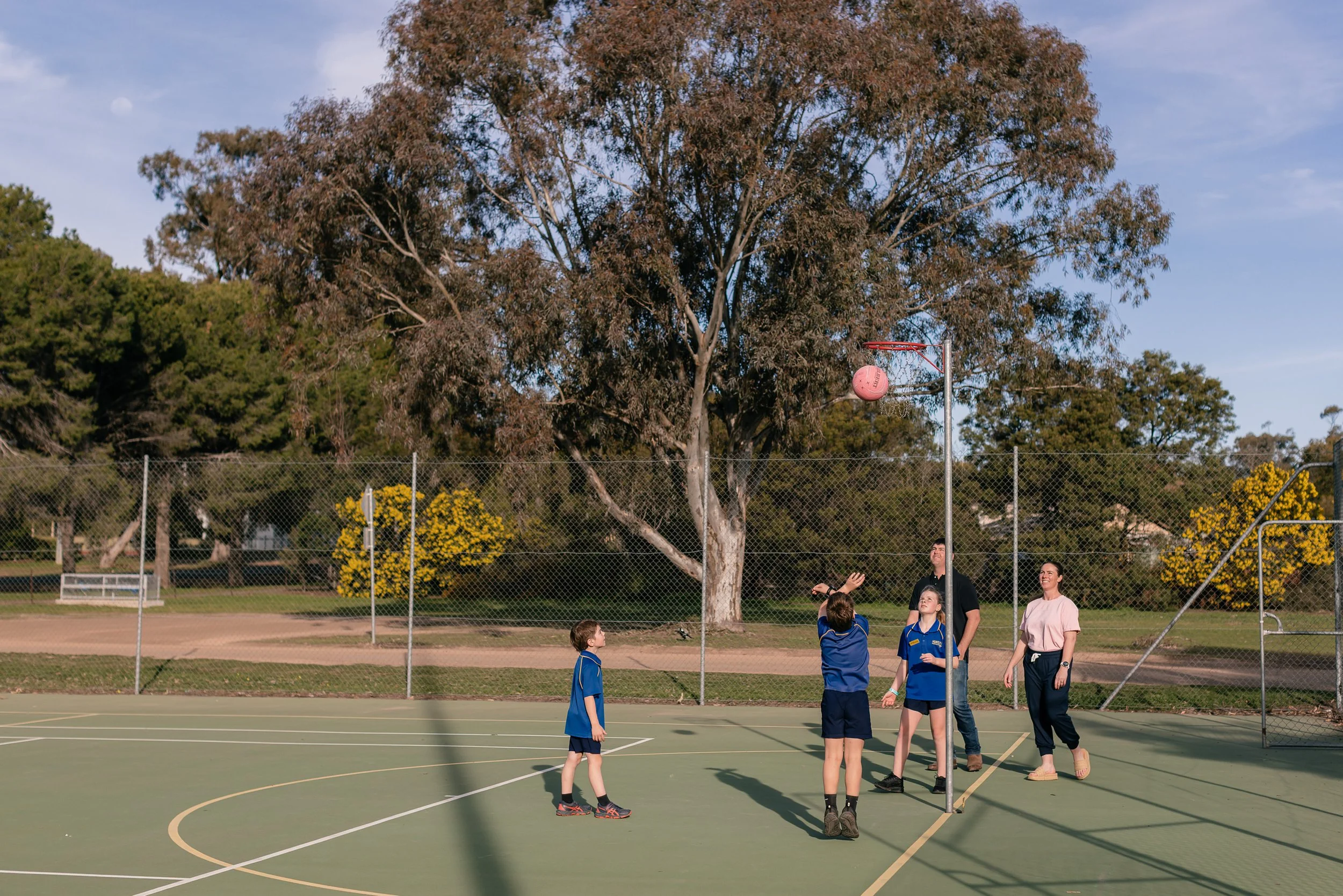 Children playing basketball on an outdoor court under a large tree, with two adults nearby and a pink basketball in the air near the hoop.