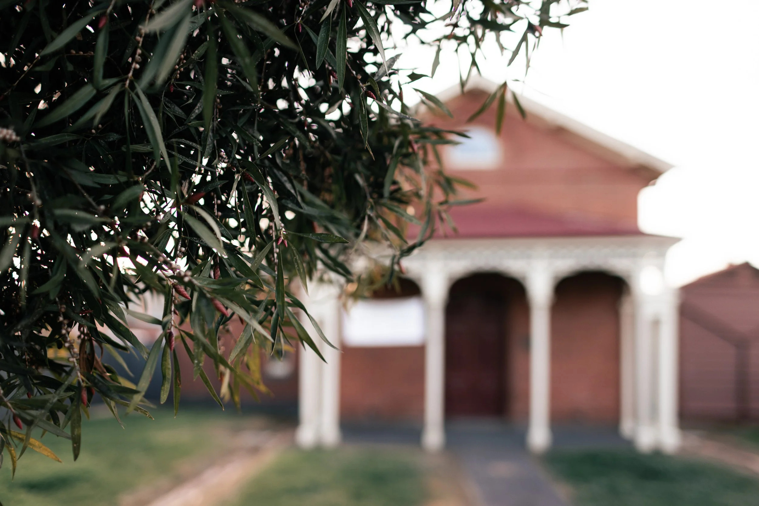 A house with a porch, partially obscured by a large leafy tree in the foreground.