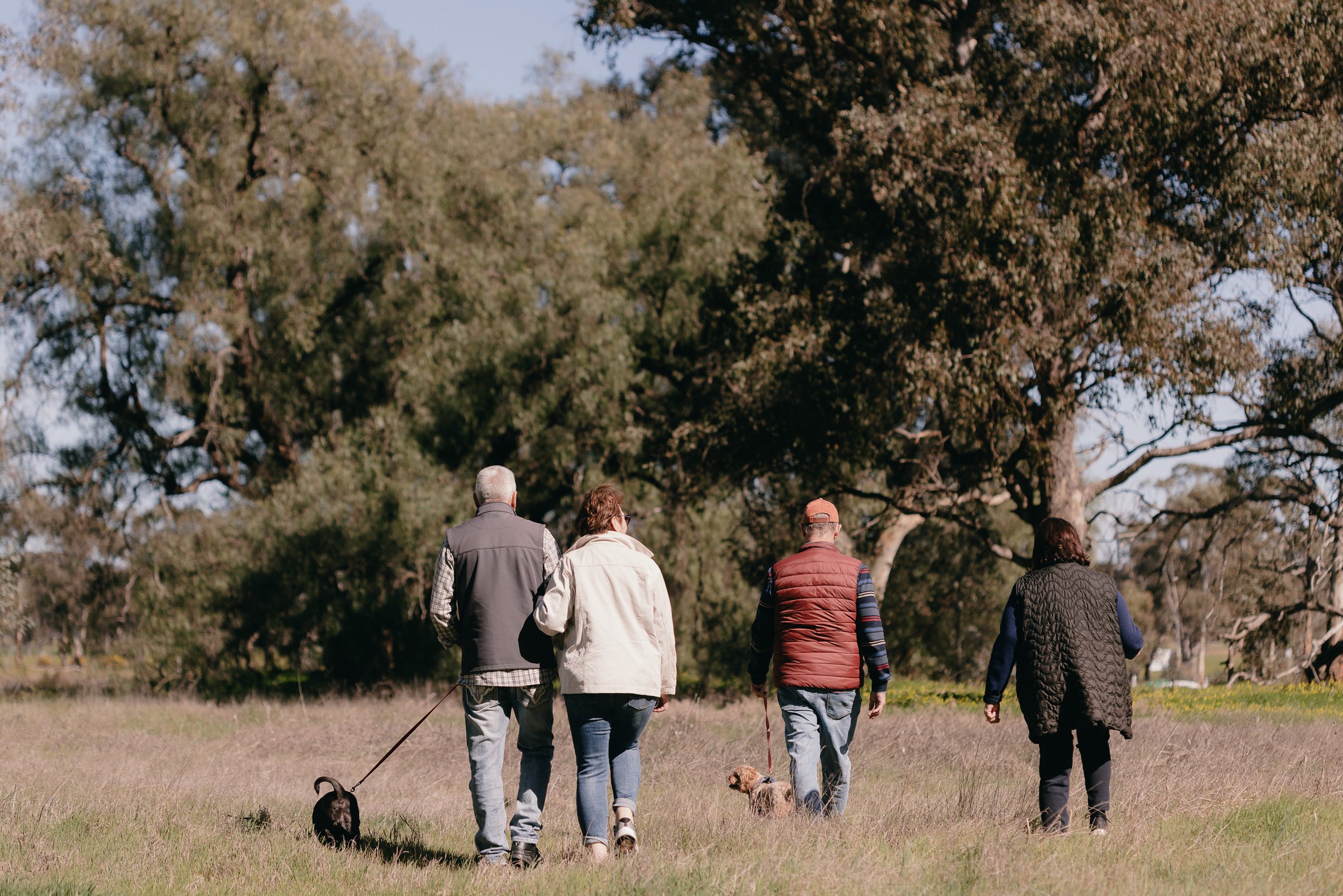 Four people walking on a grassy field with two dogs, trees in the background.