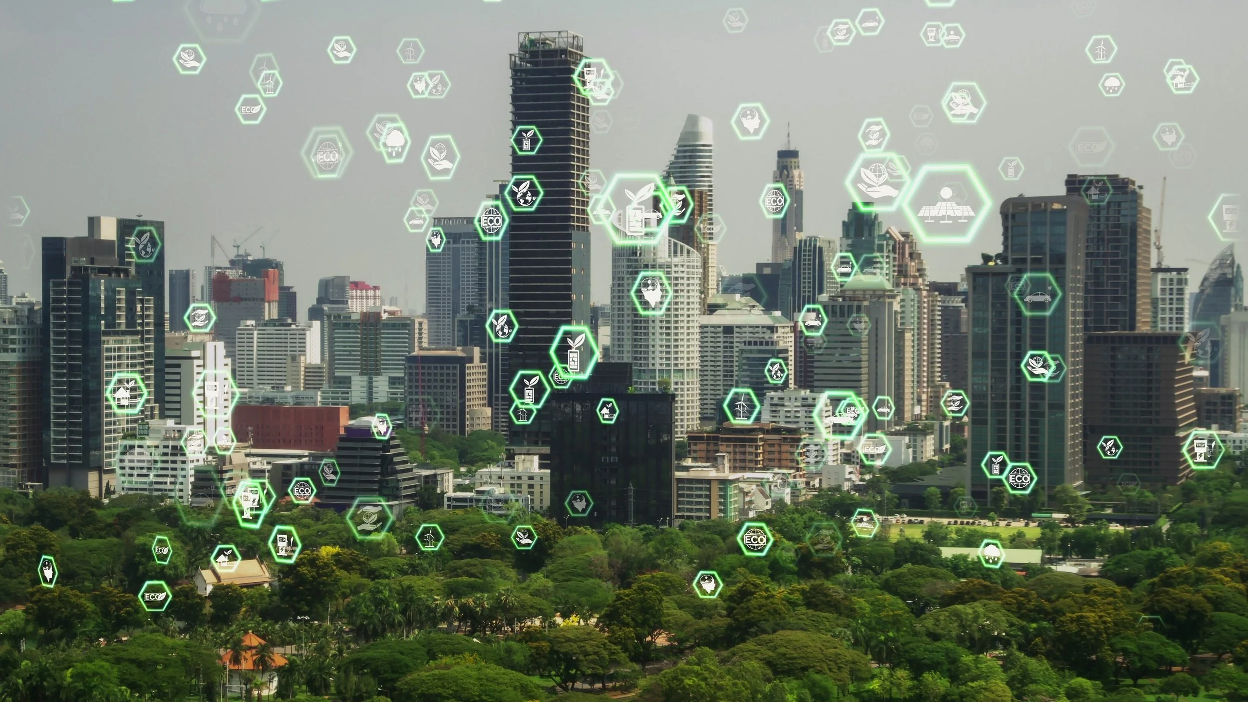 Sustainability Meets Profit: How ESG Drives Competitive Advantage in Emerging Markets