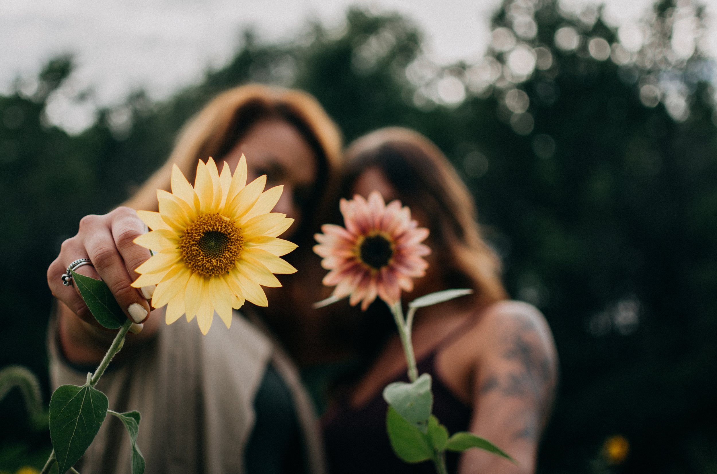 Health aging, healthy menopause, another generation, prevention