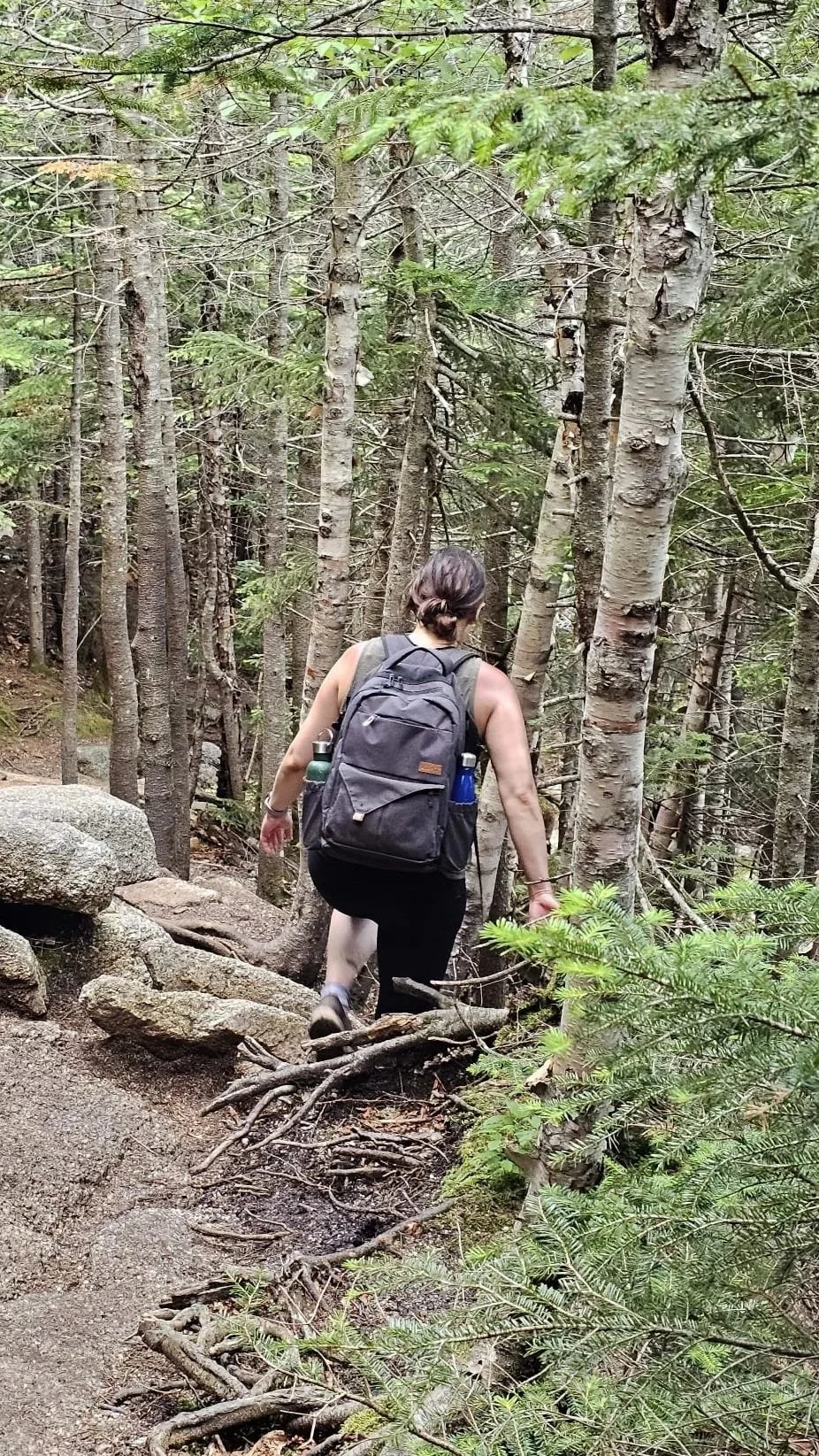 A woman hiking through a dense forest with tall trees, rocks, and dirt trail.