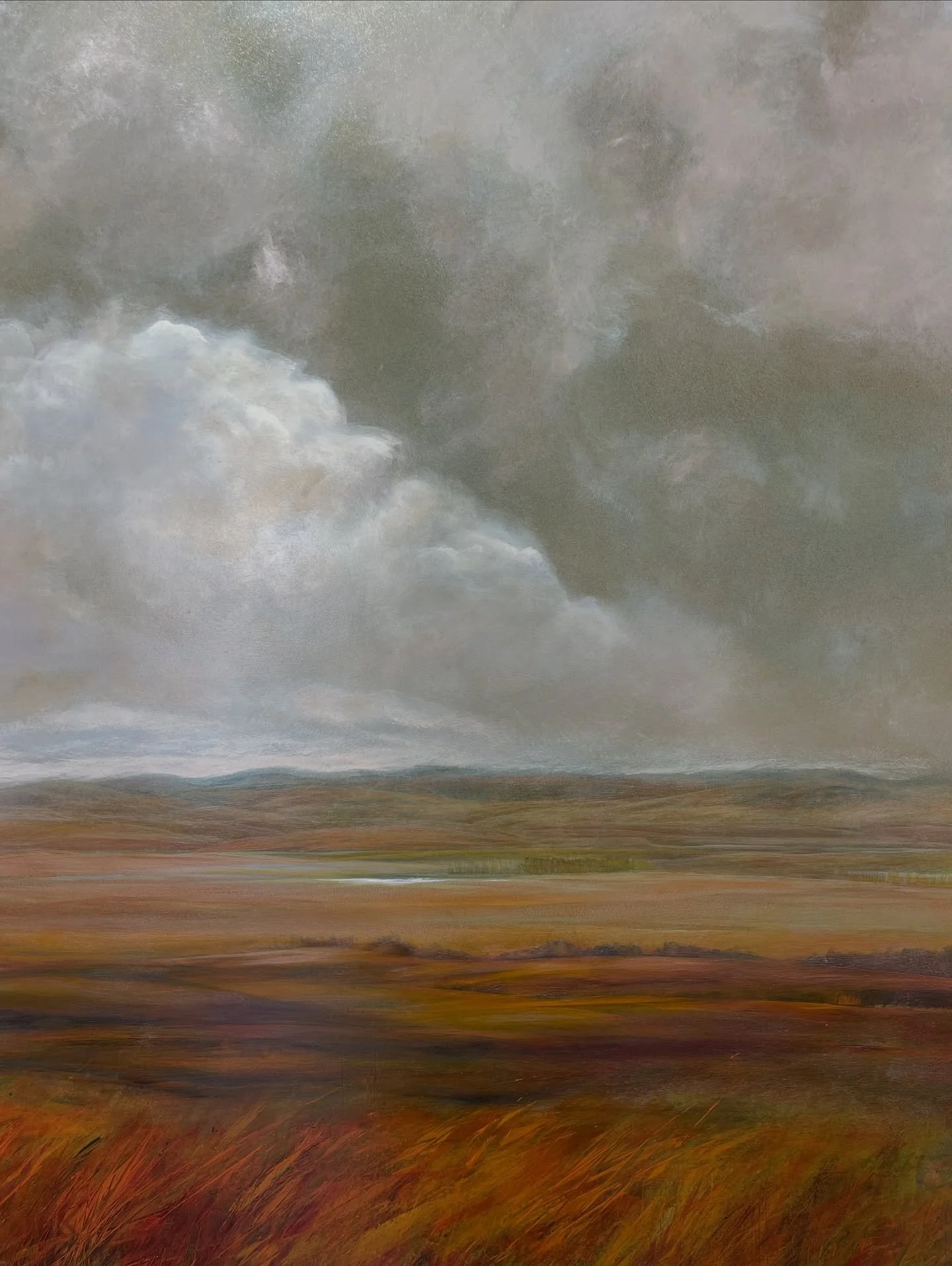 The artist on duty today is @jenny.chisholm 👩🏻&zwj;🎨Jenny paints wide open landscapes, a quiet celebration of the place we call home. Pop in and see her from 10am - 5pm.

#nzart #nzartists #nzpainting #wanaka #wanakaart