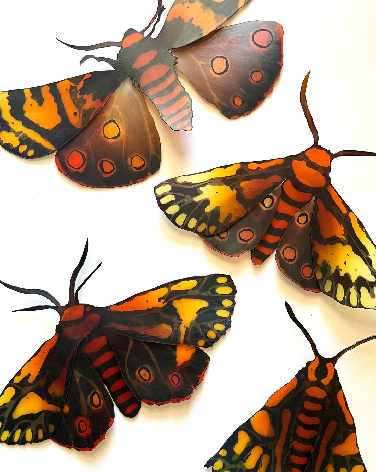As the Tiger Moth will soon fly over Wānaka&rsquo;s skies during the upcoming Warbirds show, so too will Andi&rsquo;s moths soar across our gallery walls. These striking moths and the legendary biplane are the inspiration behind her latest work for o