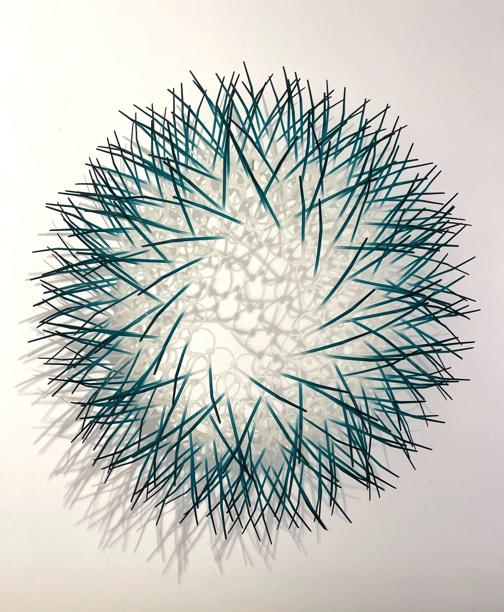 Cable tie &lsquo;Kina&rsquo; by @andireganart . We have small, medium and large &lsquo;Kina&rsquo; in some stunning colours in the gallery at the moment.