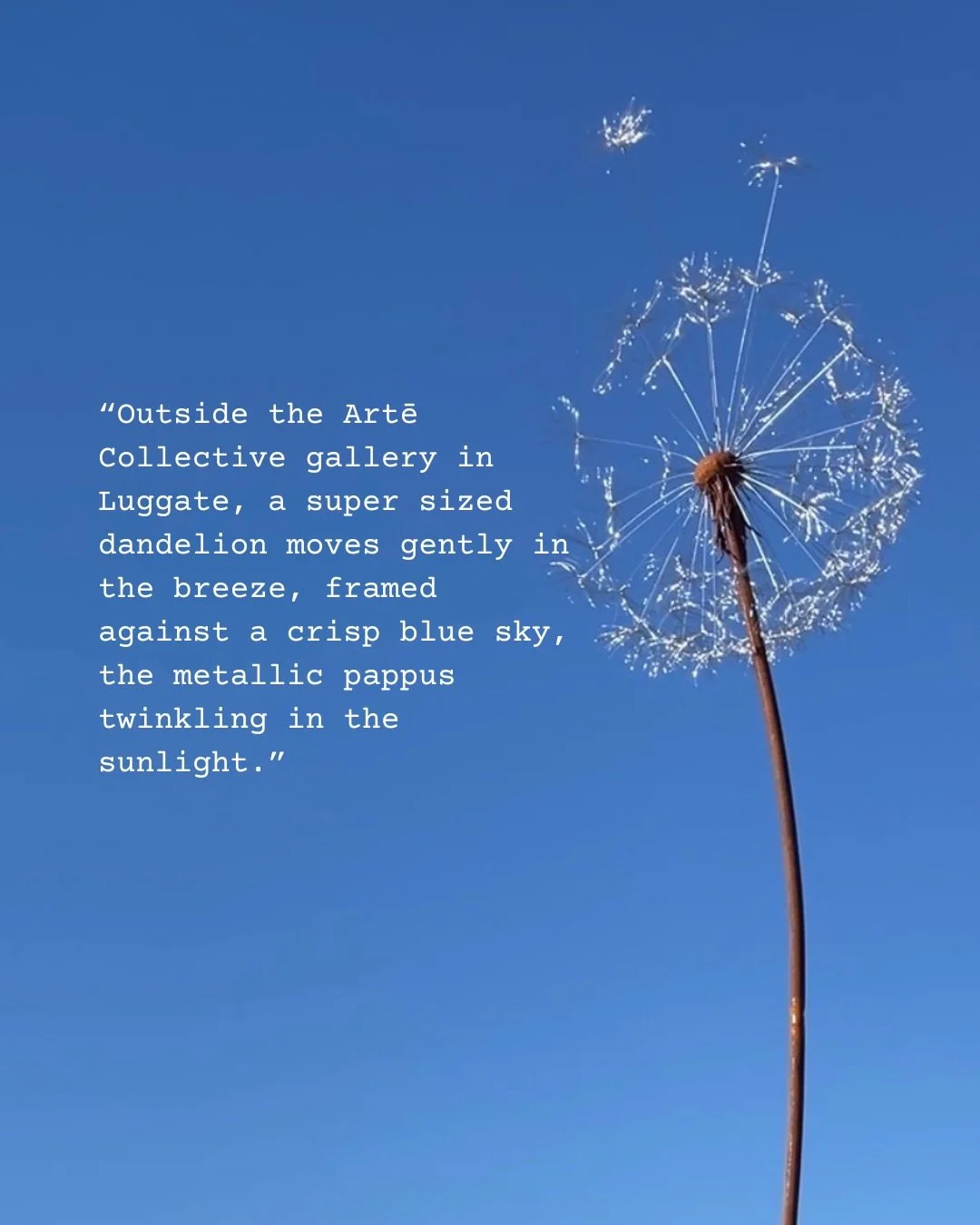 We were lucky enough to have a gallery visit from the ever eloquent Laura Elliott who contributes to Art Seen for the Otago Daily Times. This is what she had to say about our current artworks on view.
