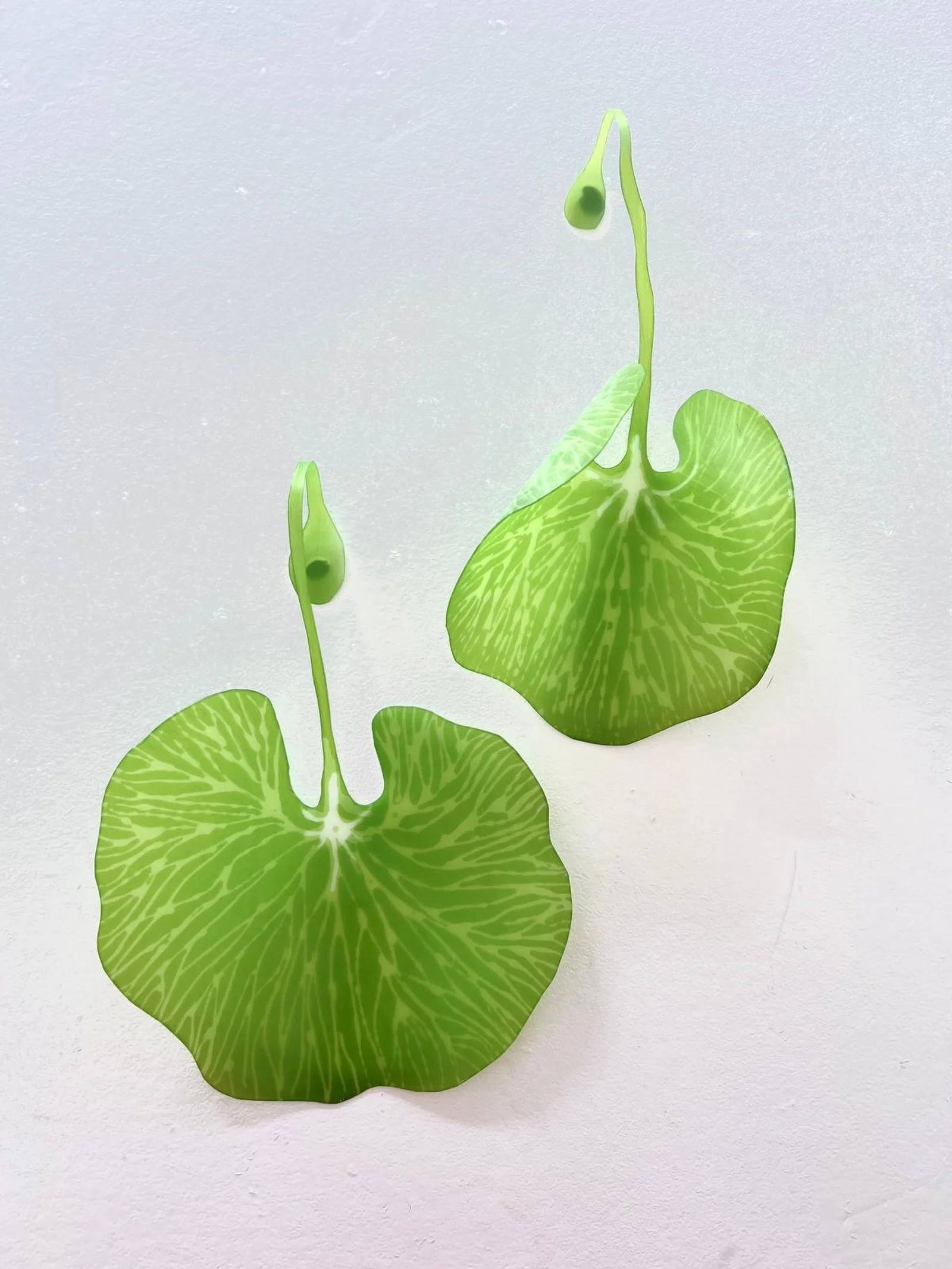 A sneak peek at some new work for our upcoming exhibition &lsquo;Green&rsquo;, opening October 2. Andi is making Kidney Ferns!

#nzart #nzartists #nzartgallery