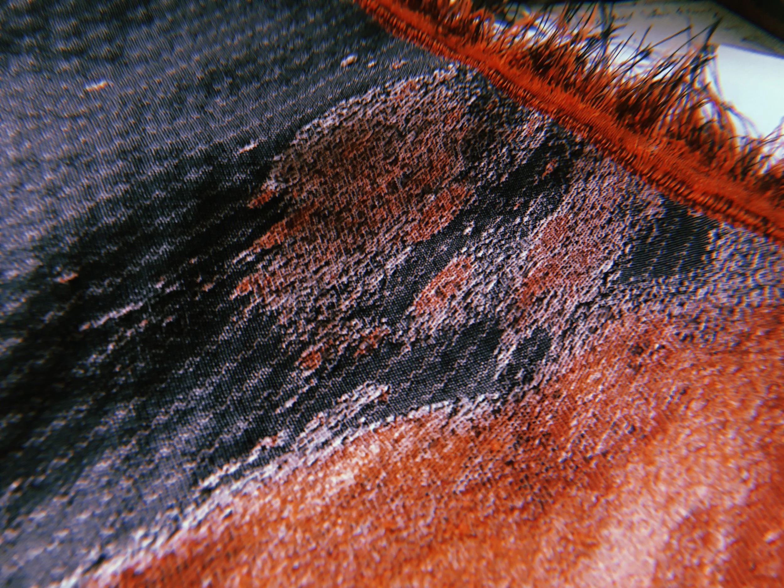 Blinding Lights, 150X100cm, Jacquard, Cotton/polyester blended yarn, 100 Tex X 100 Tex, 47 X 48 (thread/cm)