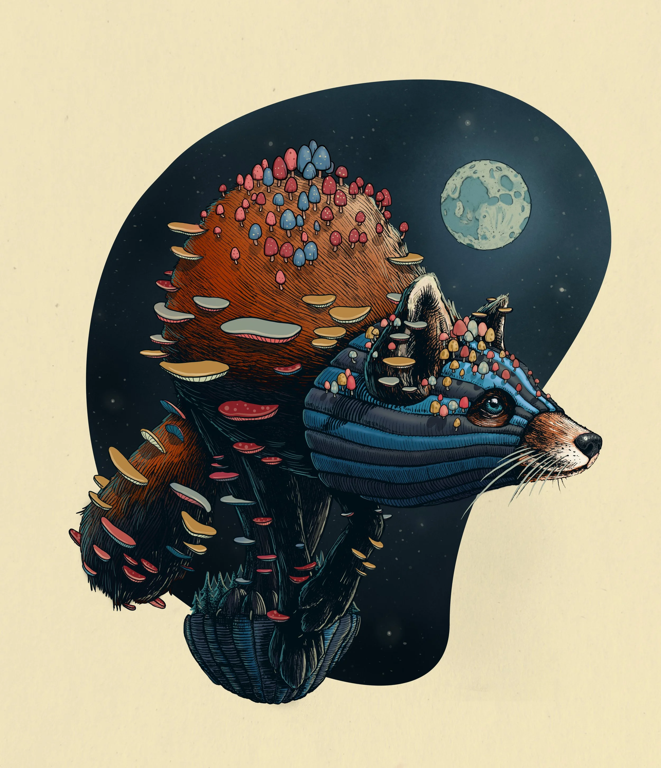 Fungi Fox