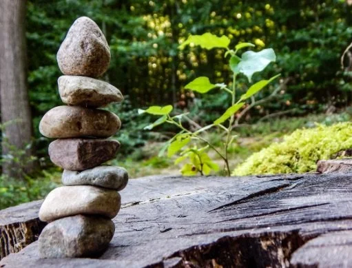 Stacked rocks on a fallen log in a forest beside green plants.