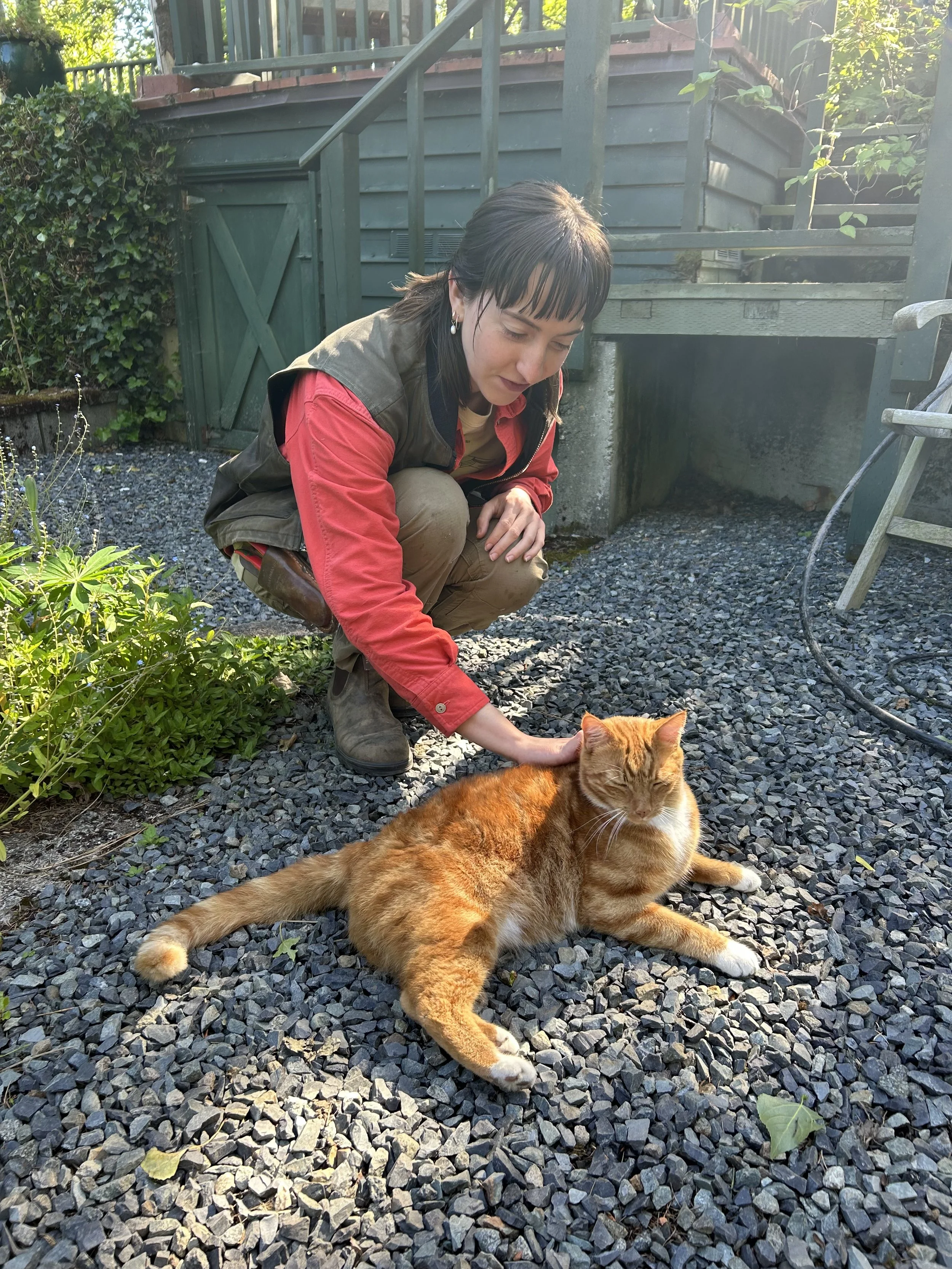A woman crouching down and petting an orange tabby cat lying on a gravel ground in a backyard garden.