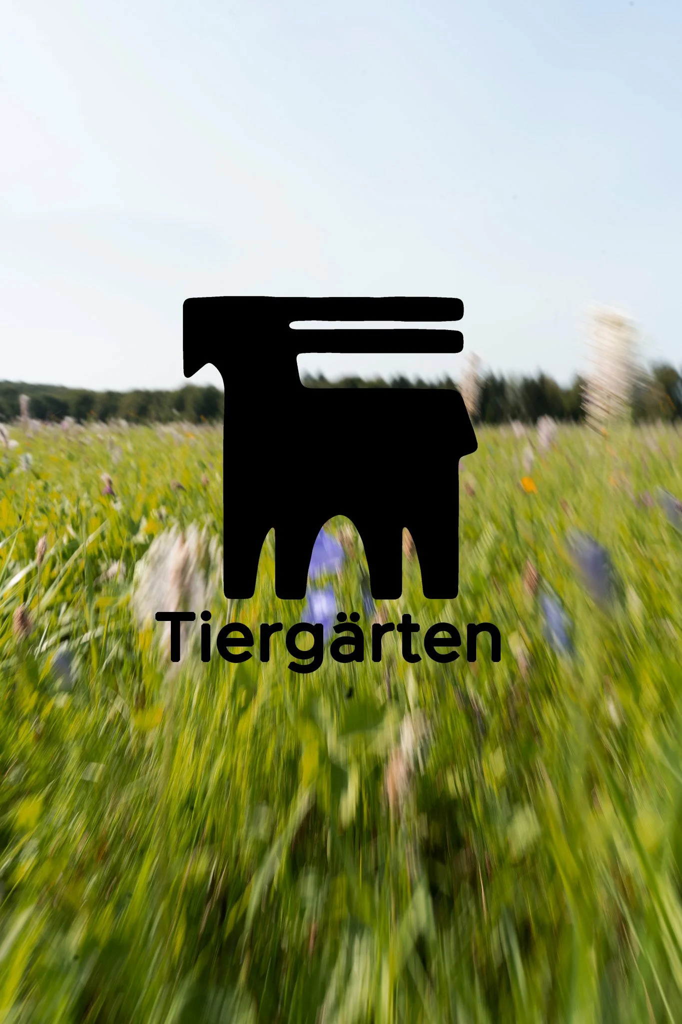 Gras_7.jpg