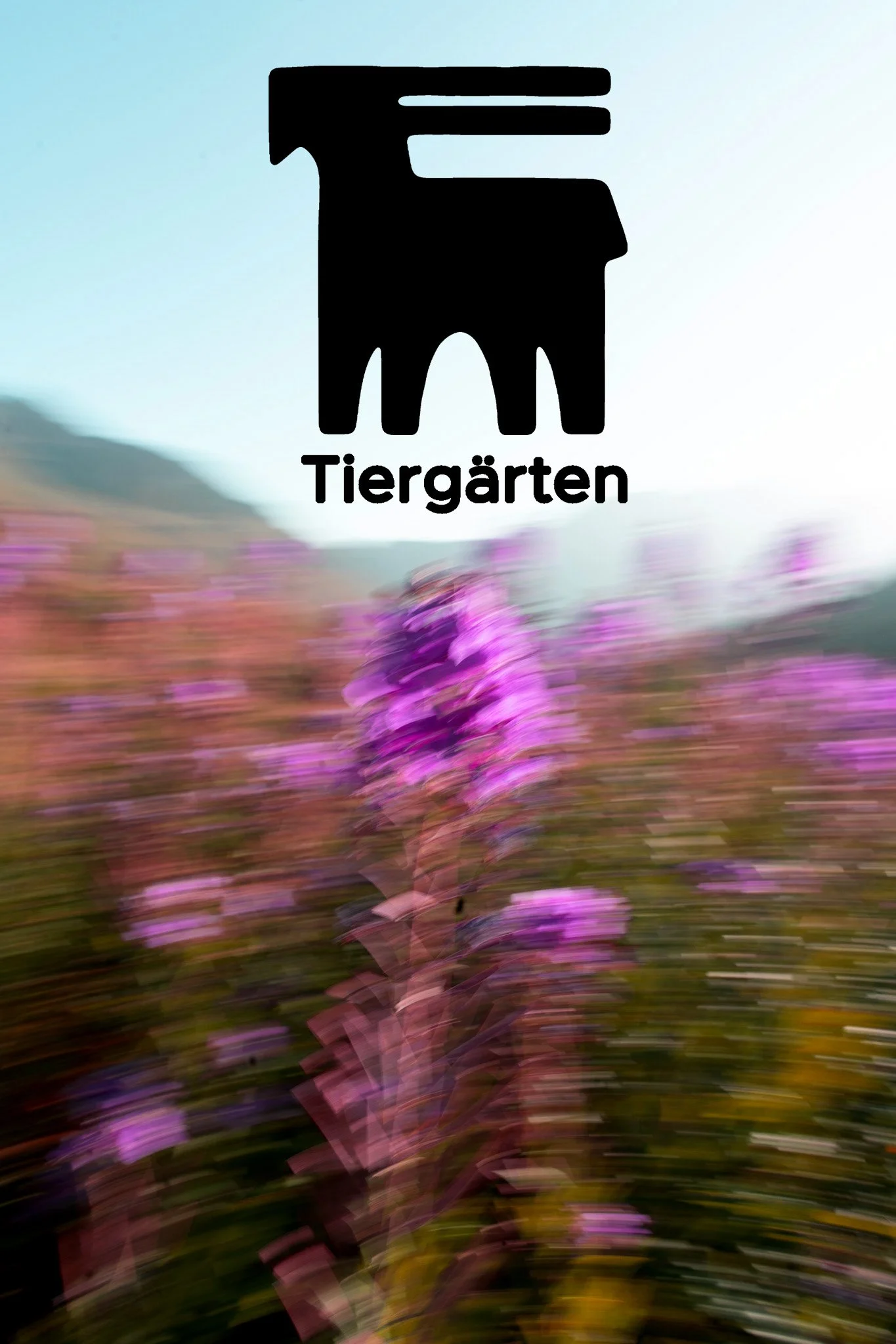 Gras_3.jpg