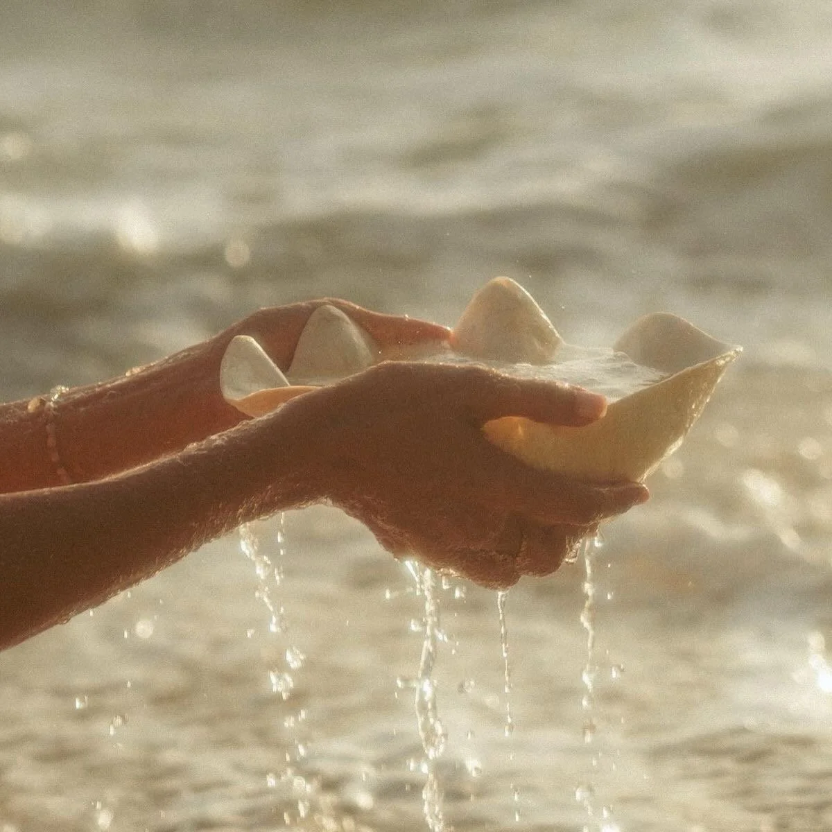 Eine Hand hält eine Muschel vor einem Wasserhintergrund, Wasser läuft von der Muschel herunter.