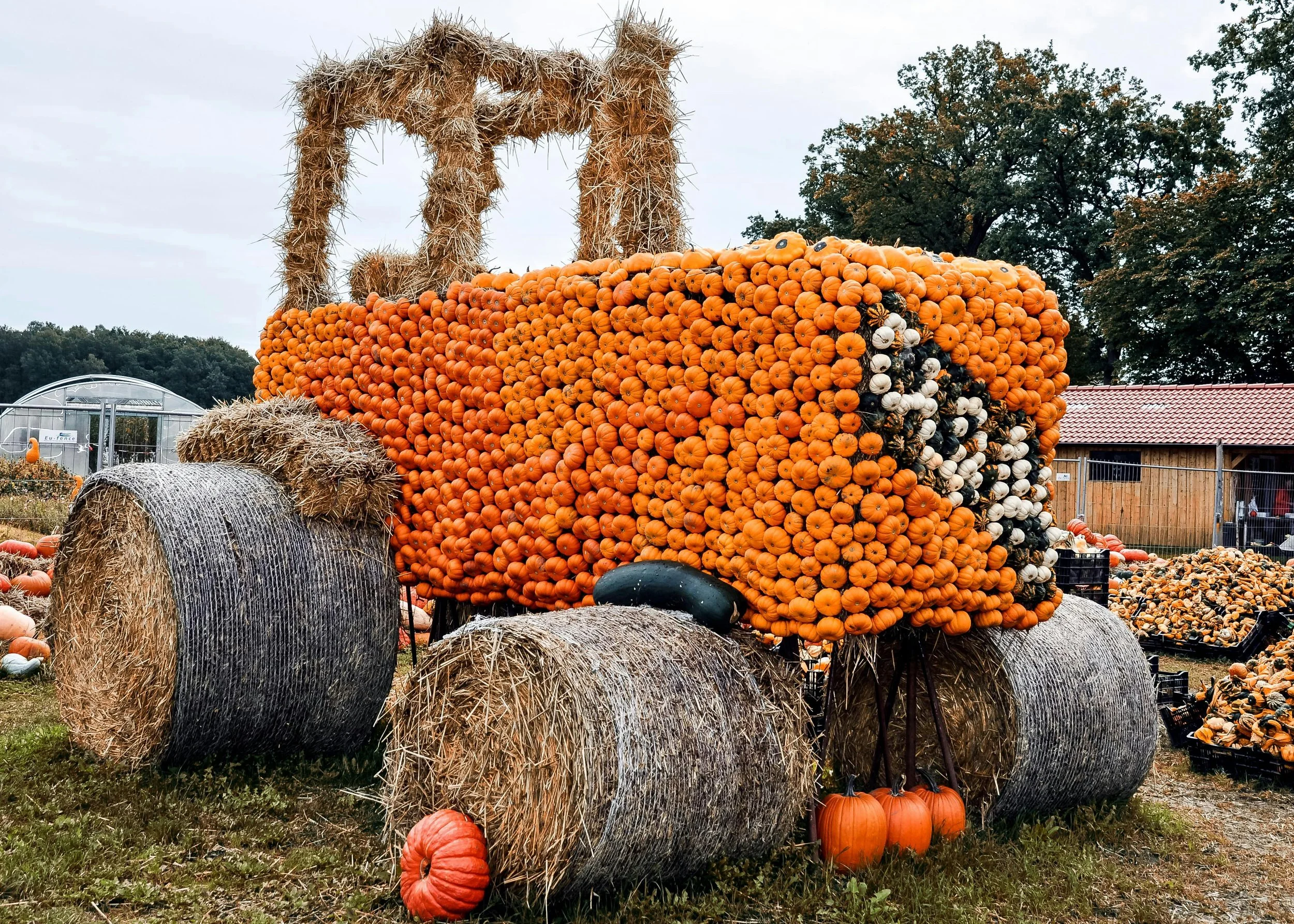 Smart Solutions for Creative Minds